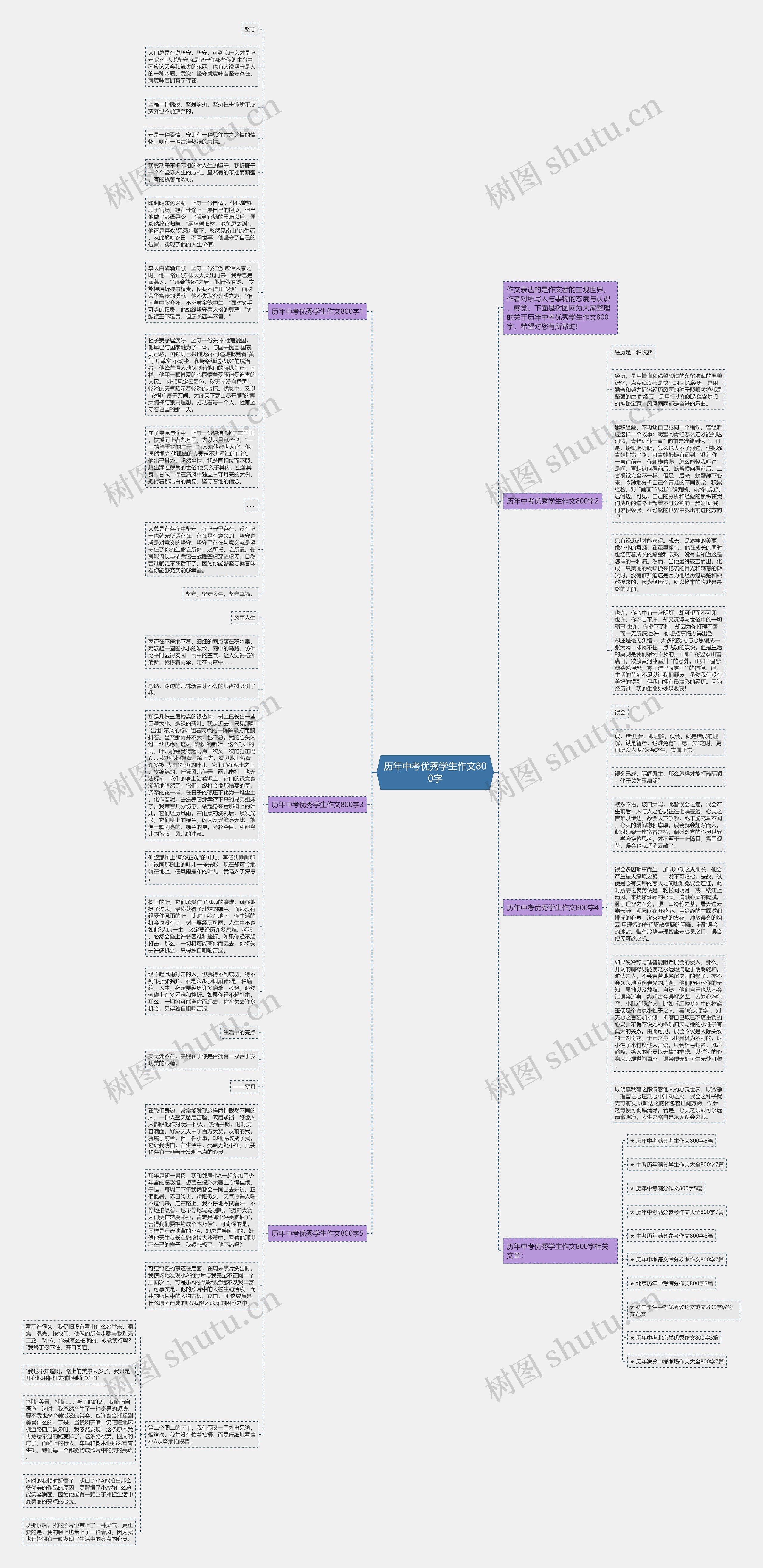 历年中考优秀学生作文800字思维导图