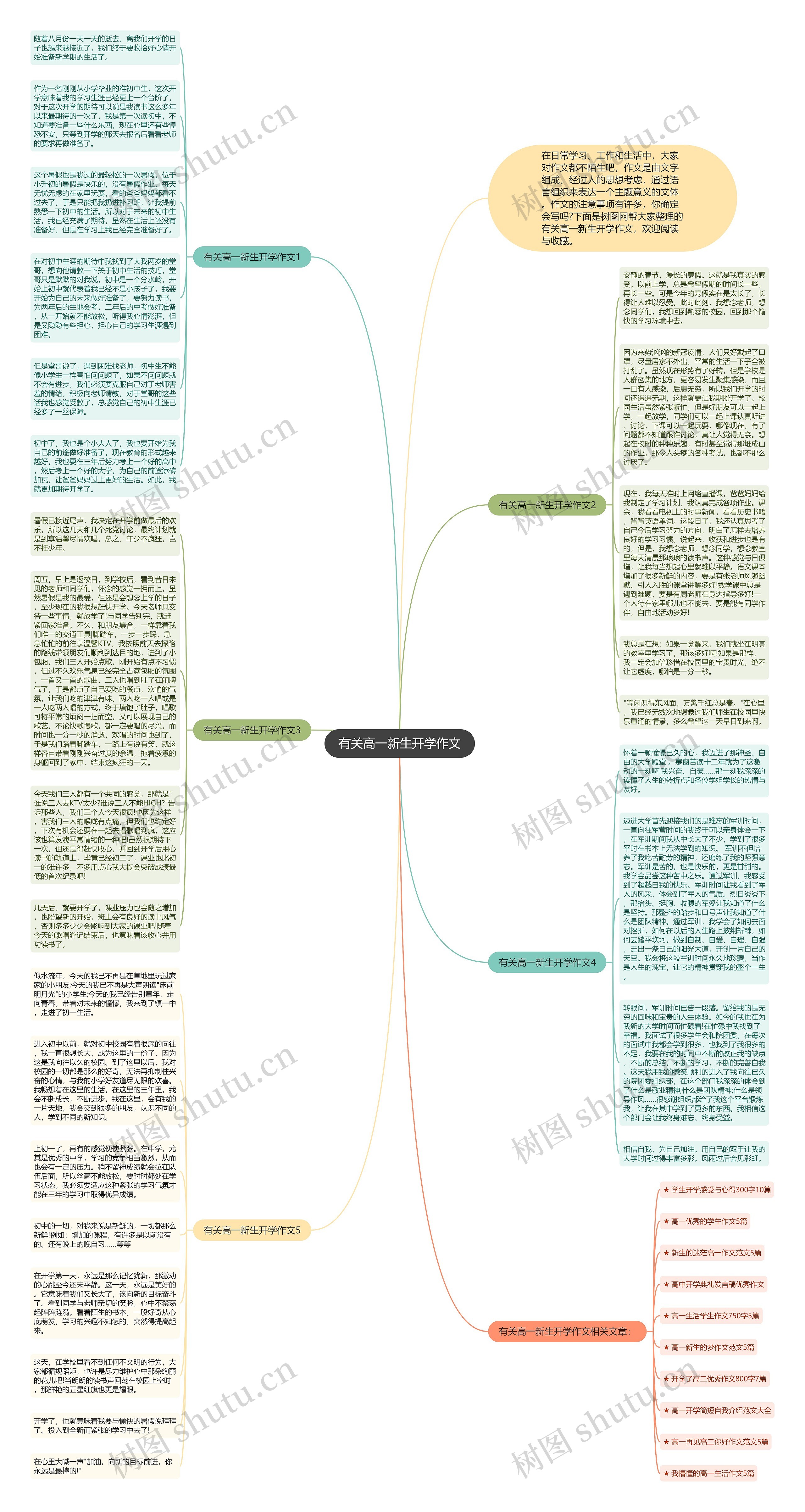 有关高一新生开学作文思维导图