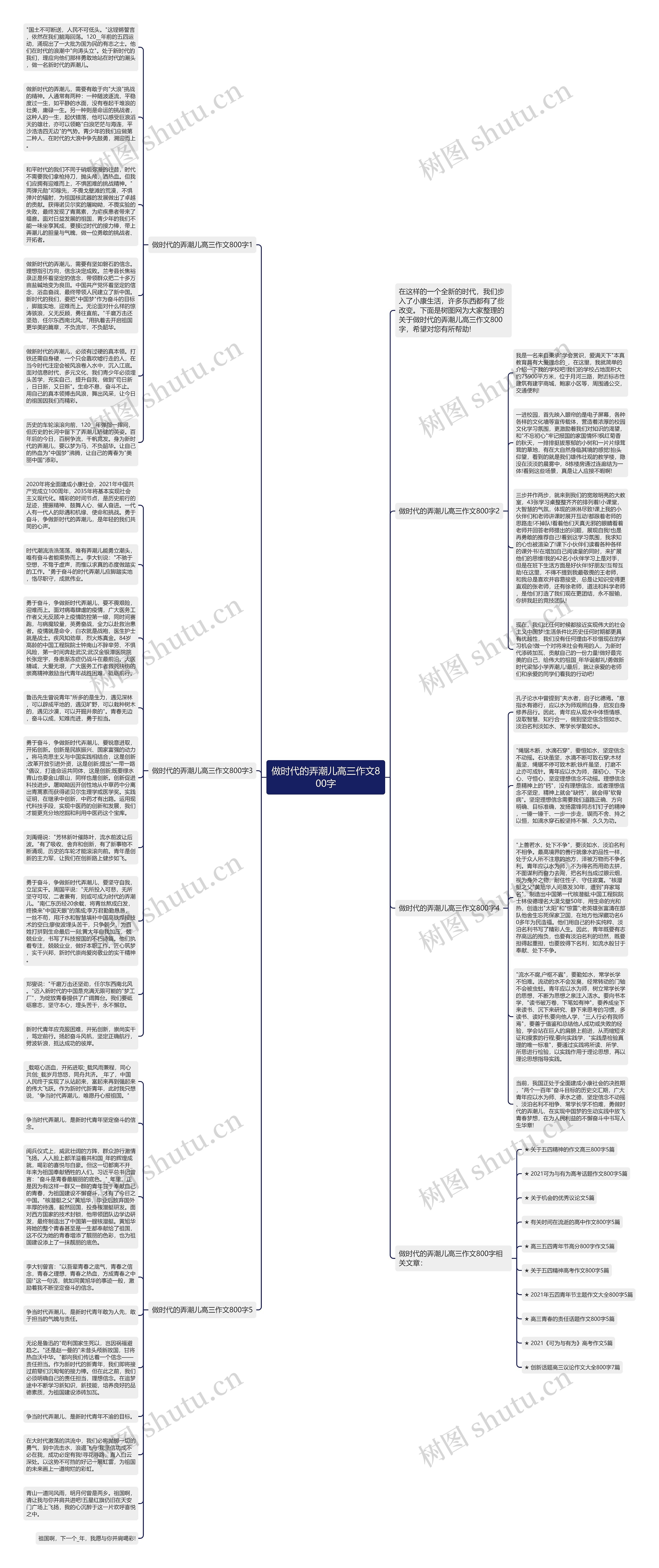 做时代的弄潮儿高三作文800字思维导图