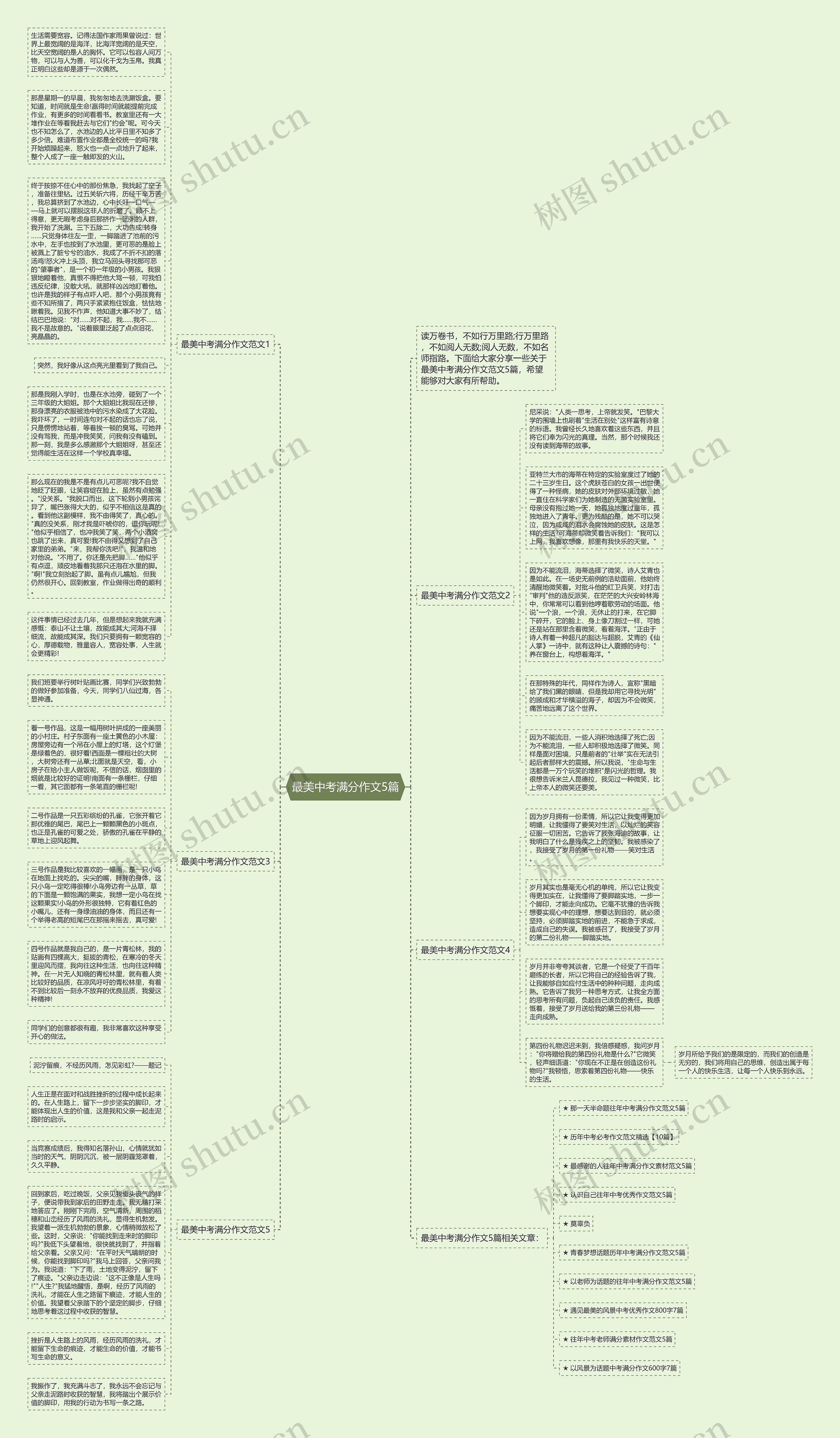 最美中考满分作文5篇思维导图