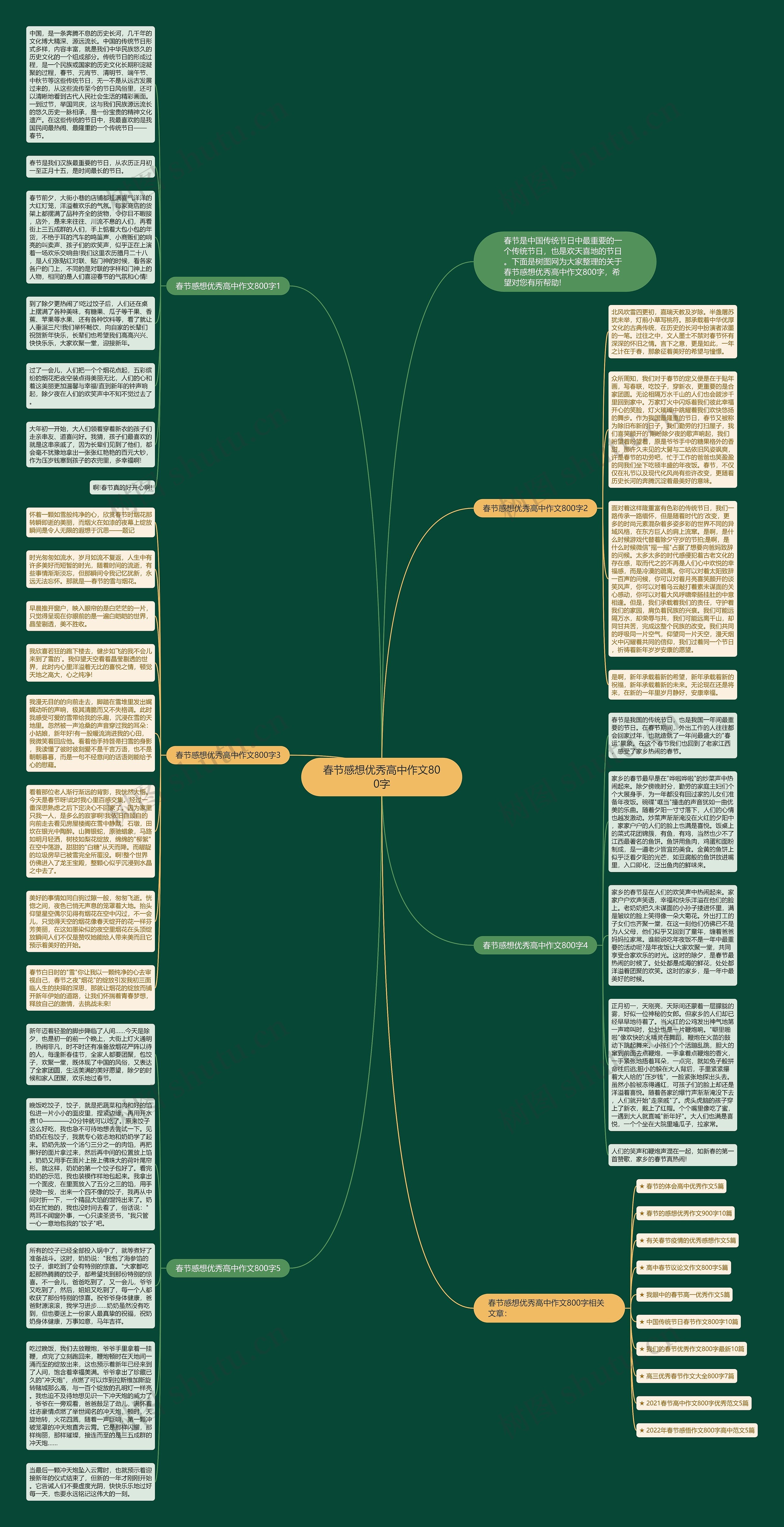 春节感想优秀高中作文800字思维导图
