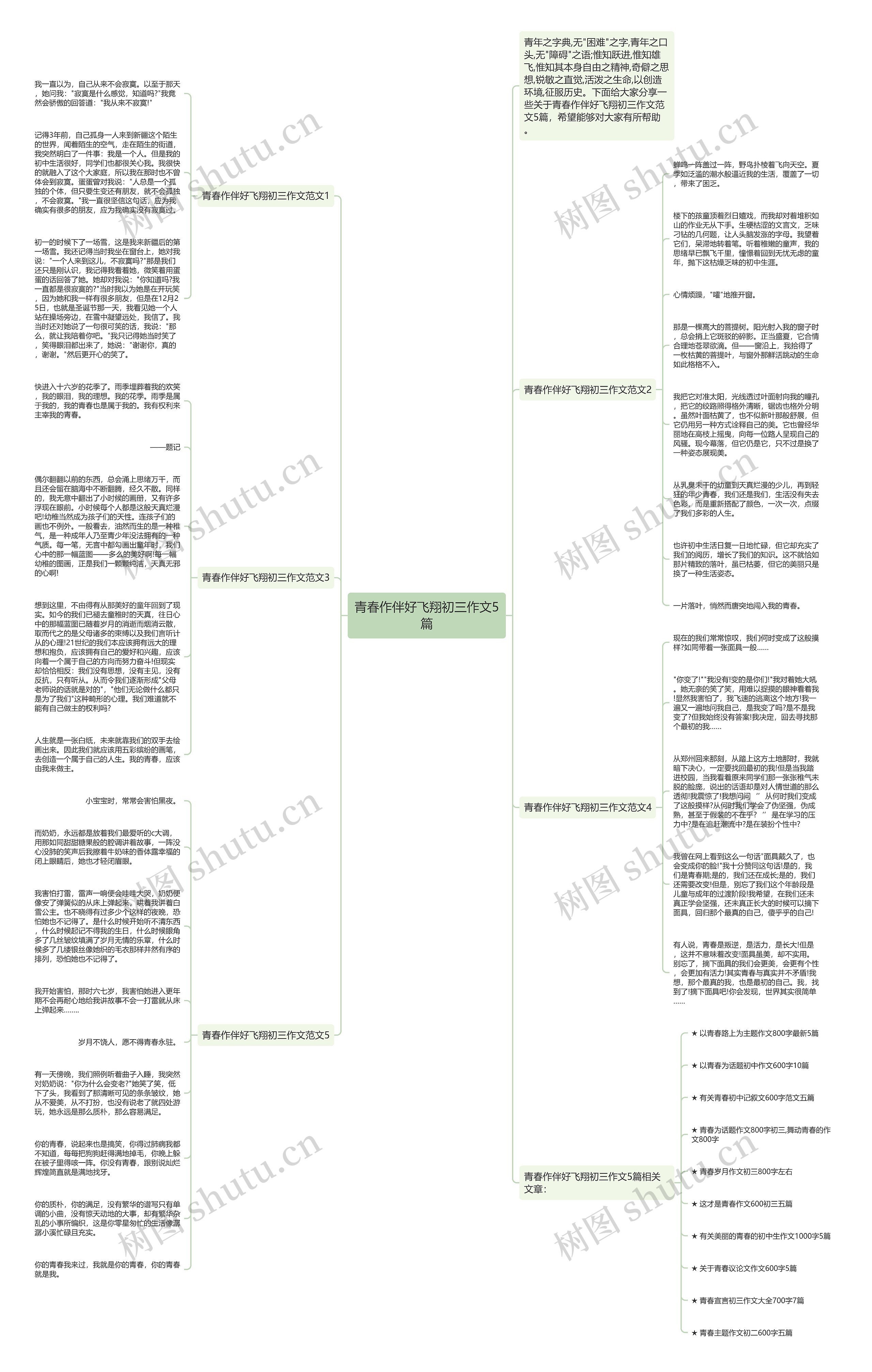 青春作伴好飞翔初三作文5篇思维导图