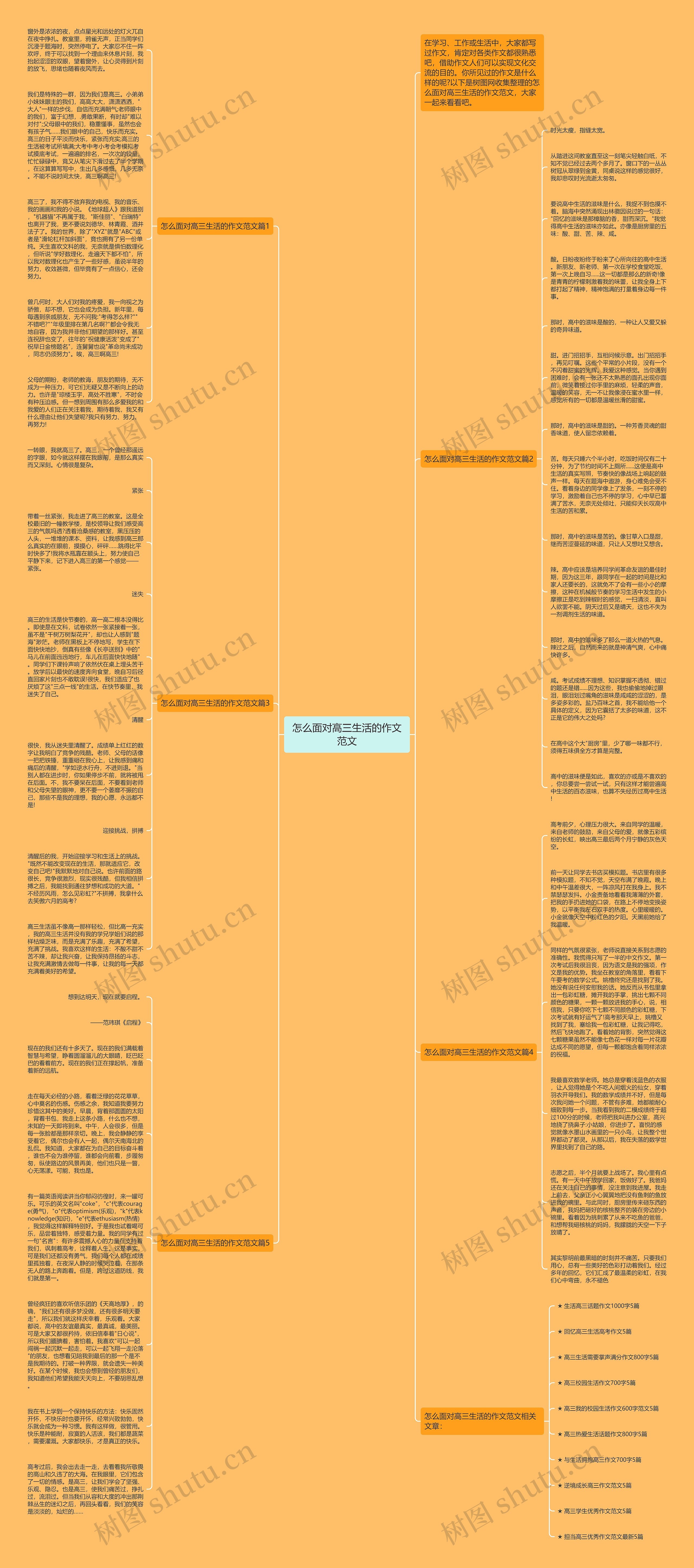 怎么面对高三生活的作文范文思维导图
