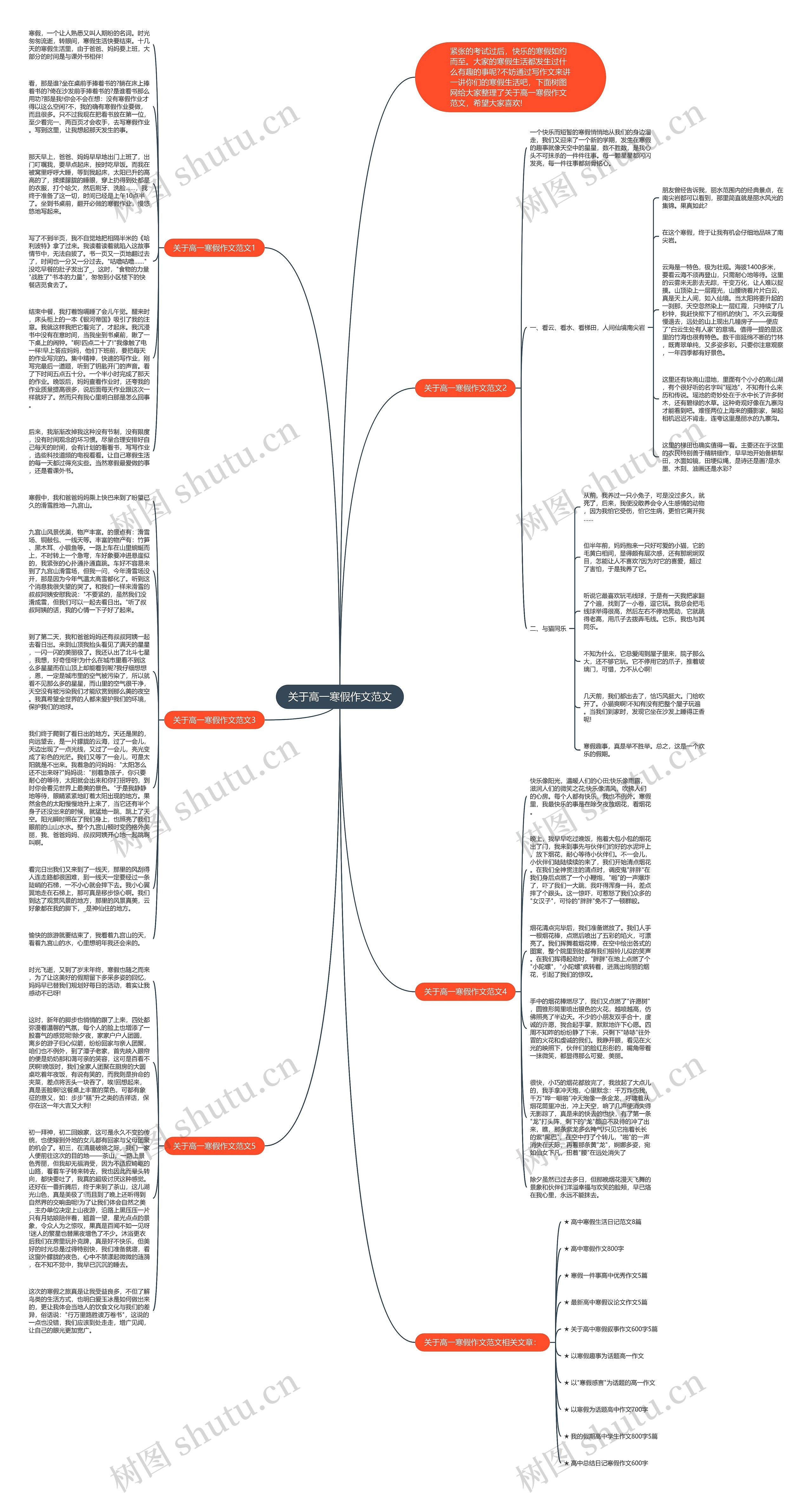 关于高一寒假作文范文思维导图