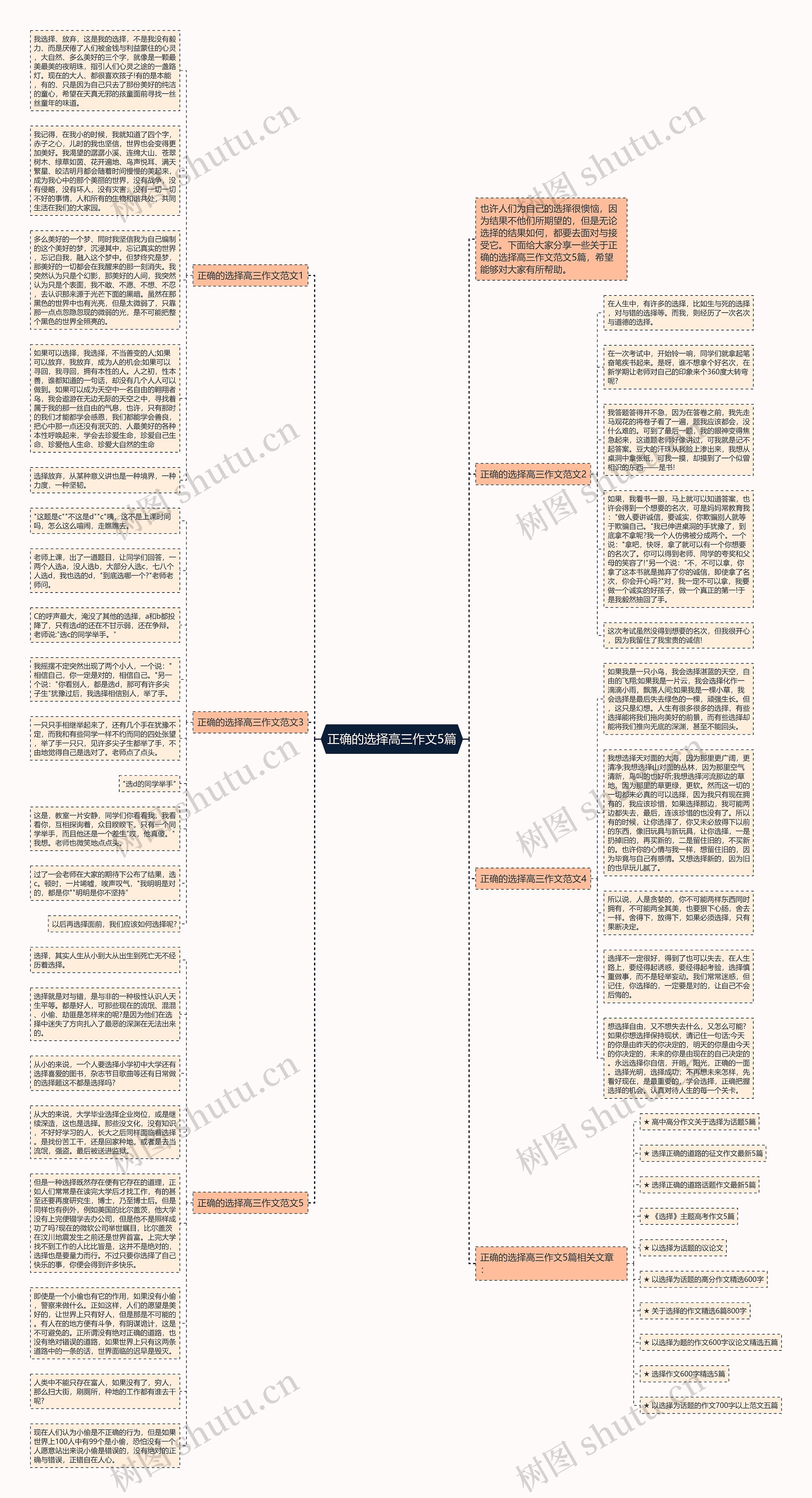 正确的选择高三作文5篇思维导图