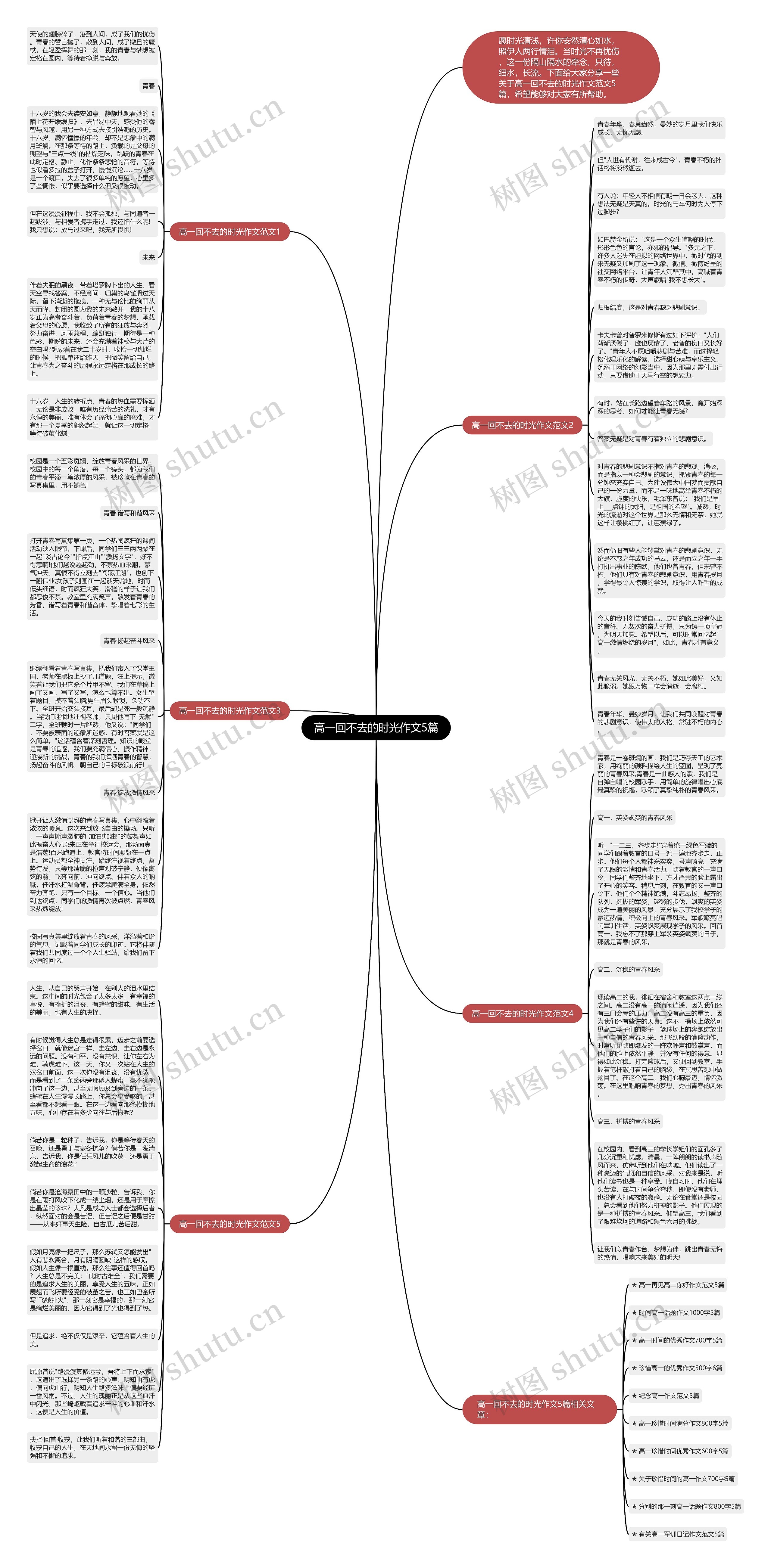 高一回不去的时光作文5篇思维导图