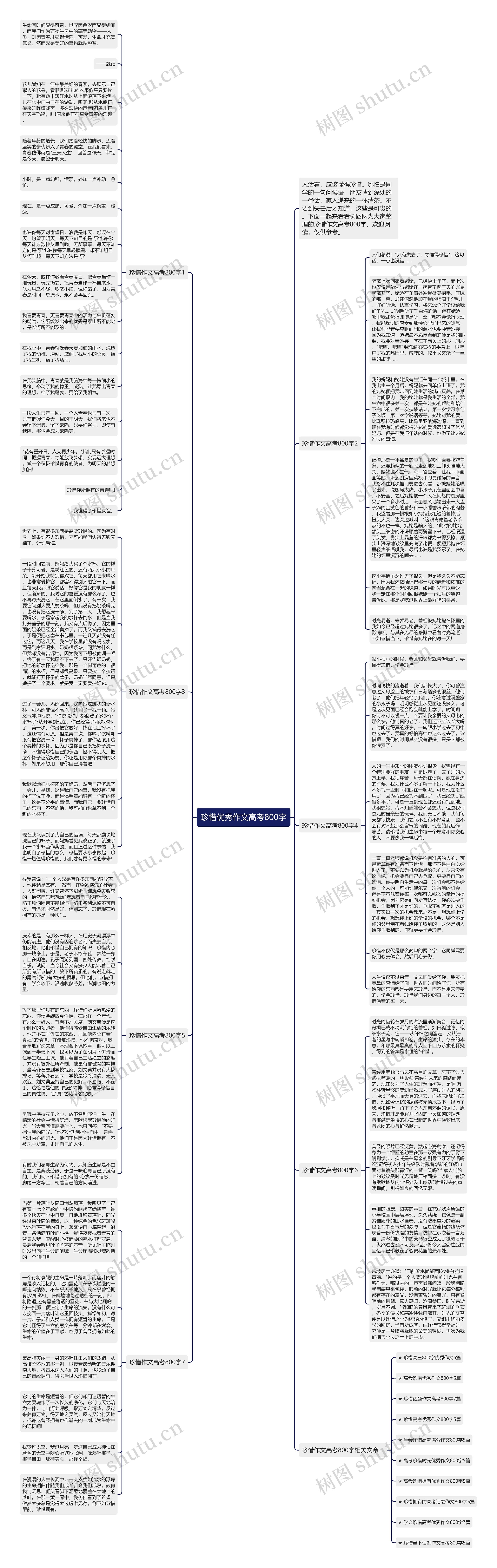 珍惜优秀作文高考800字思维导图