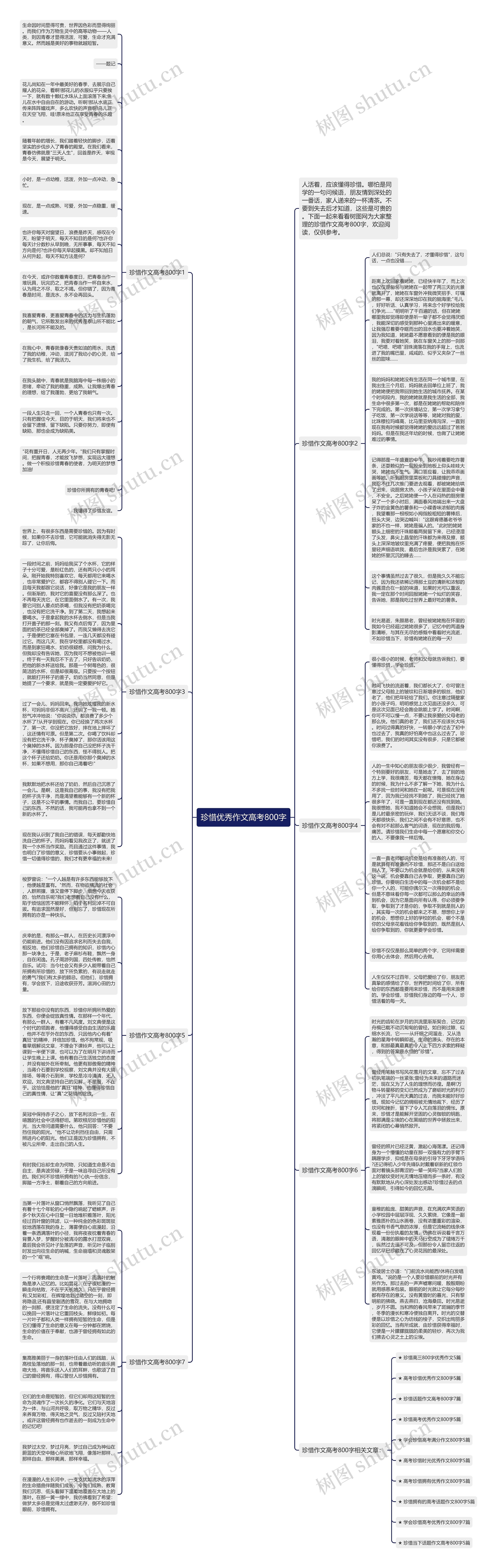 珍惜优秀作文高考800字思维导图高清图 珍惜优秀作文高考800字思维导图