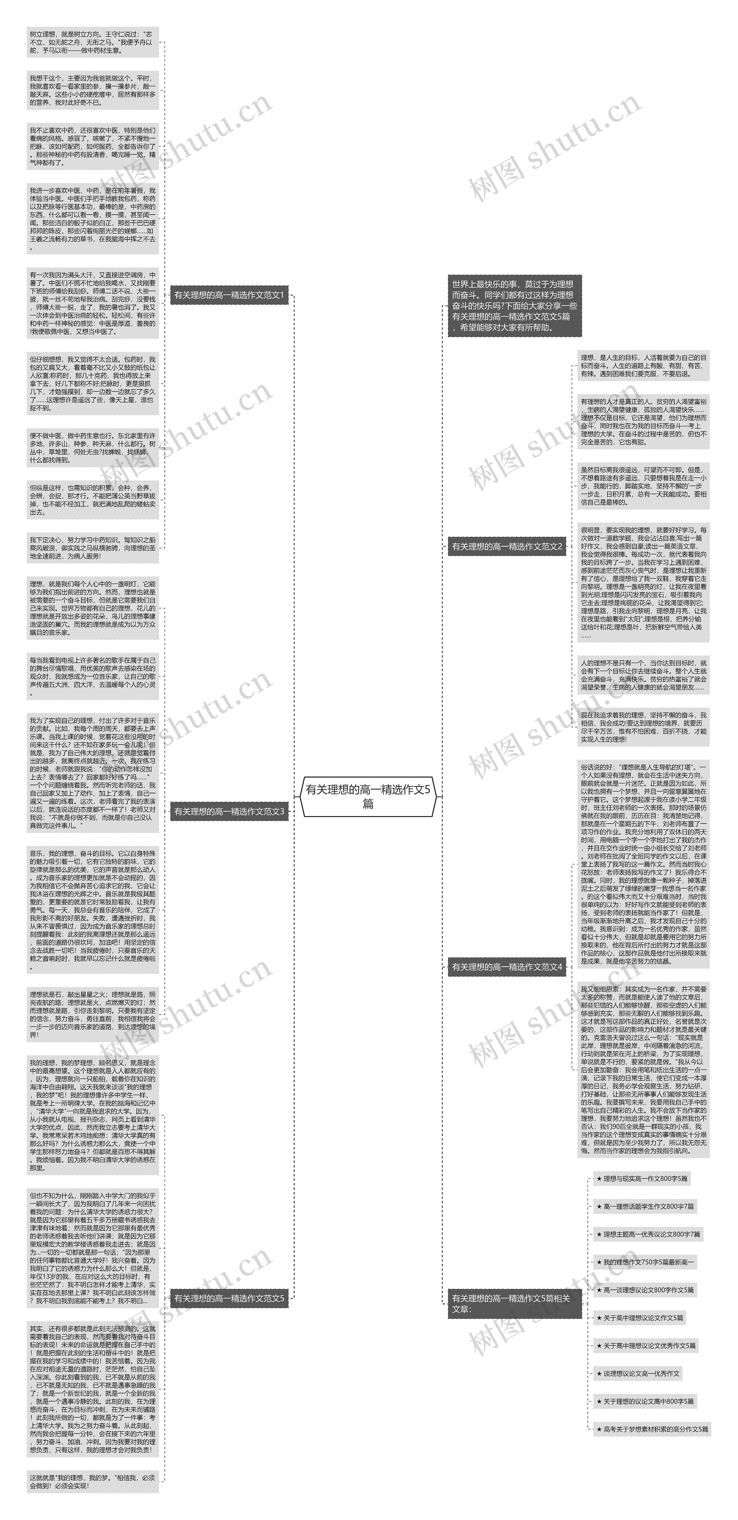 有关理想的高一精选作文5篇思维导图