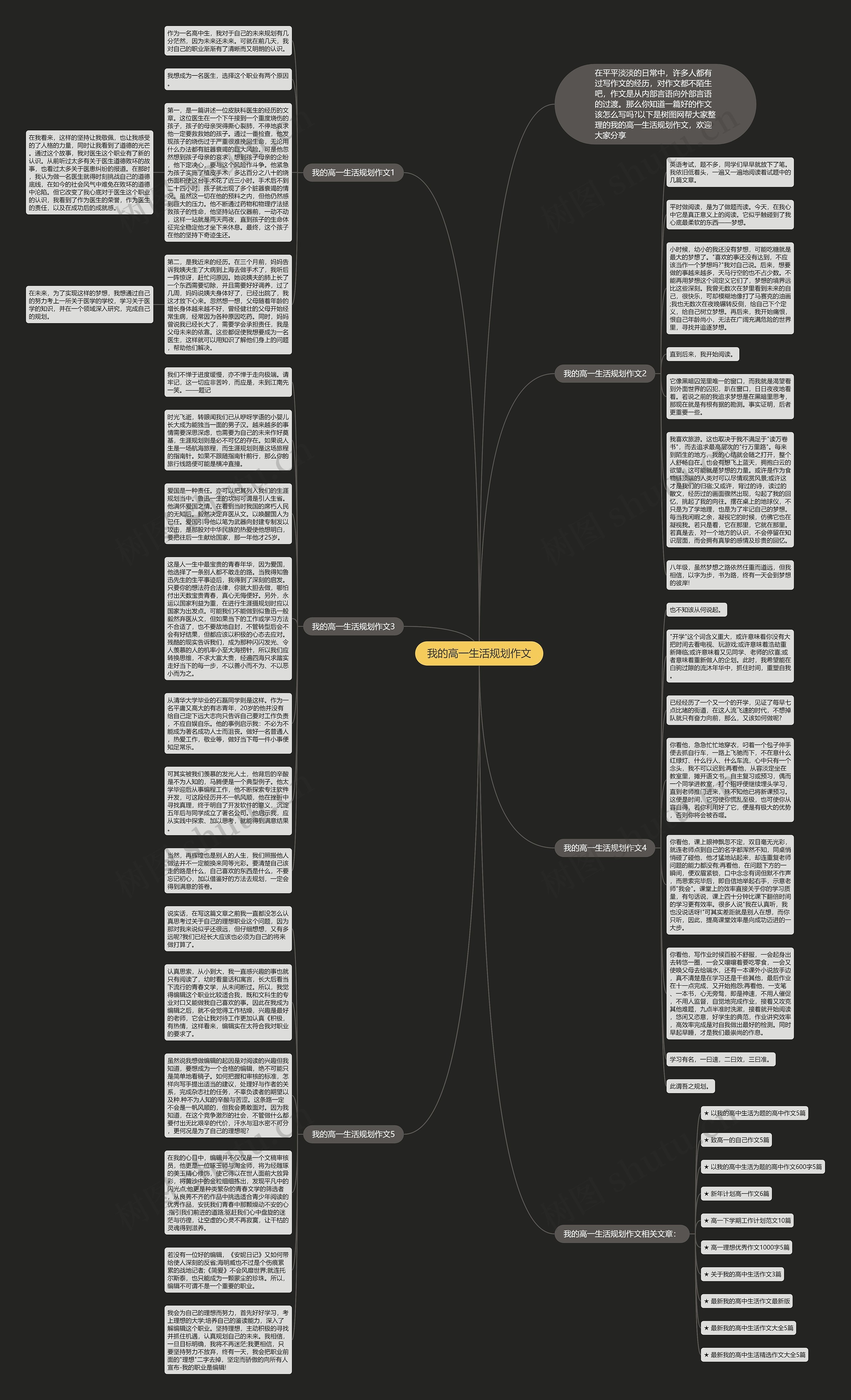 我的高一生活规划作文思维导图