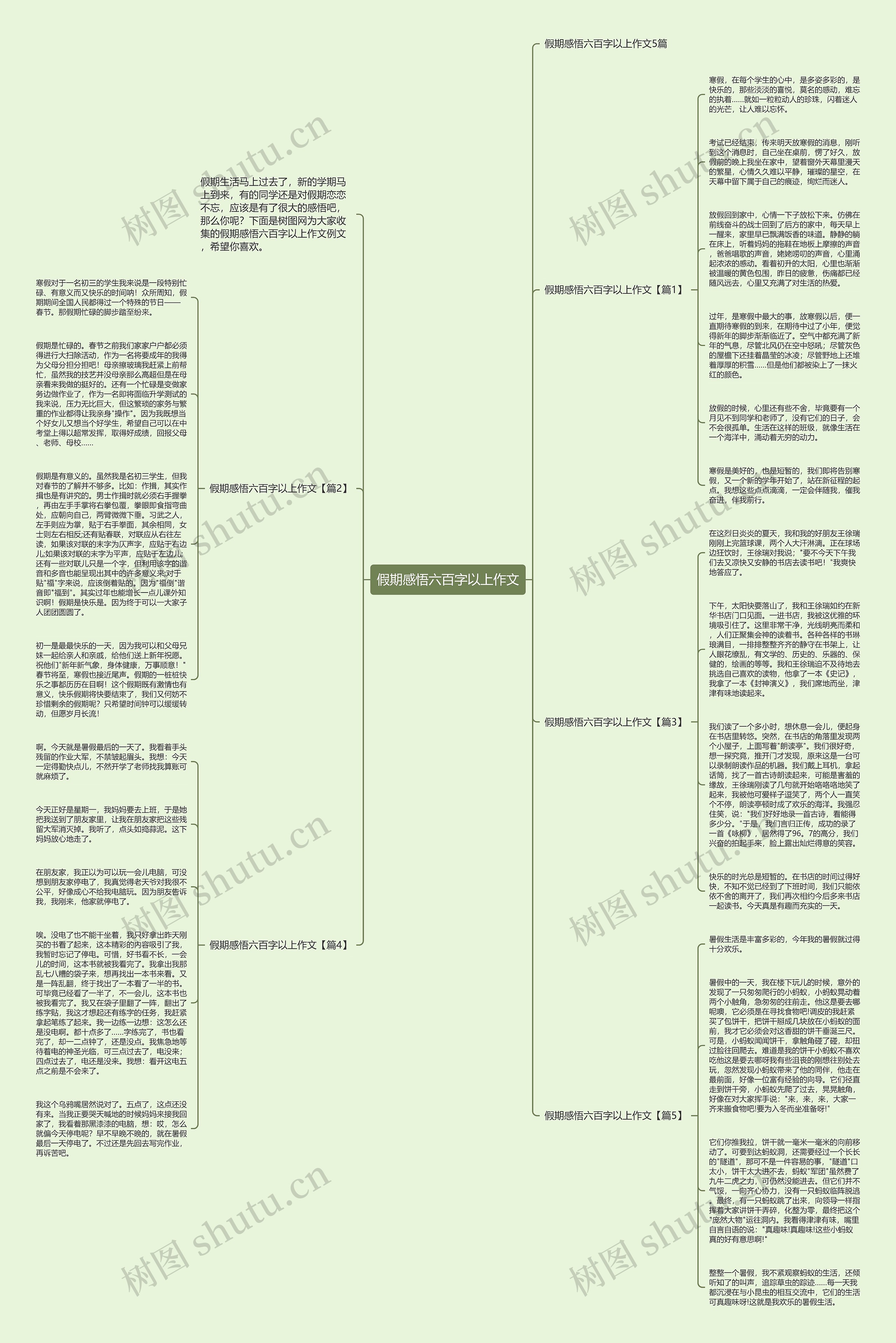 假期感悟六百字以上作文思维导图