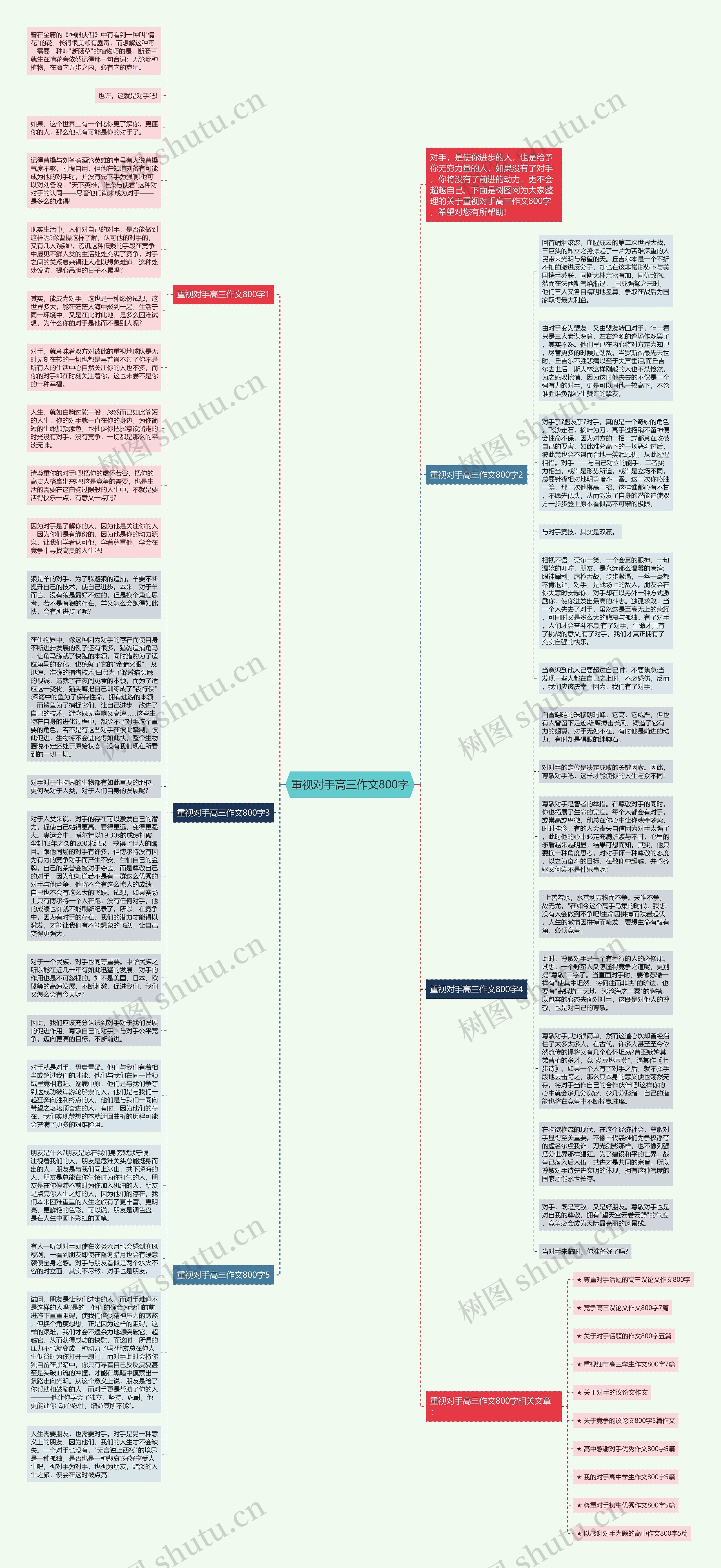 重视对手高三作文800字思维导图