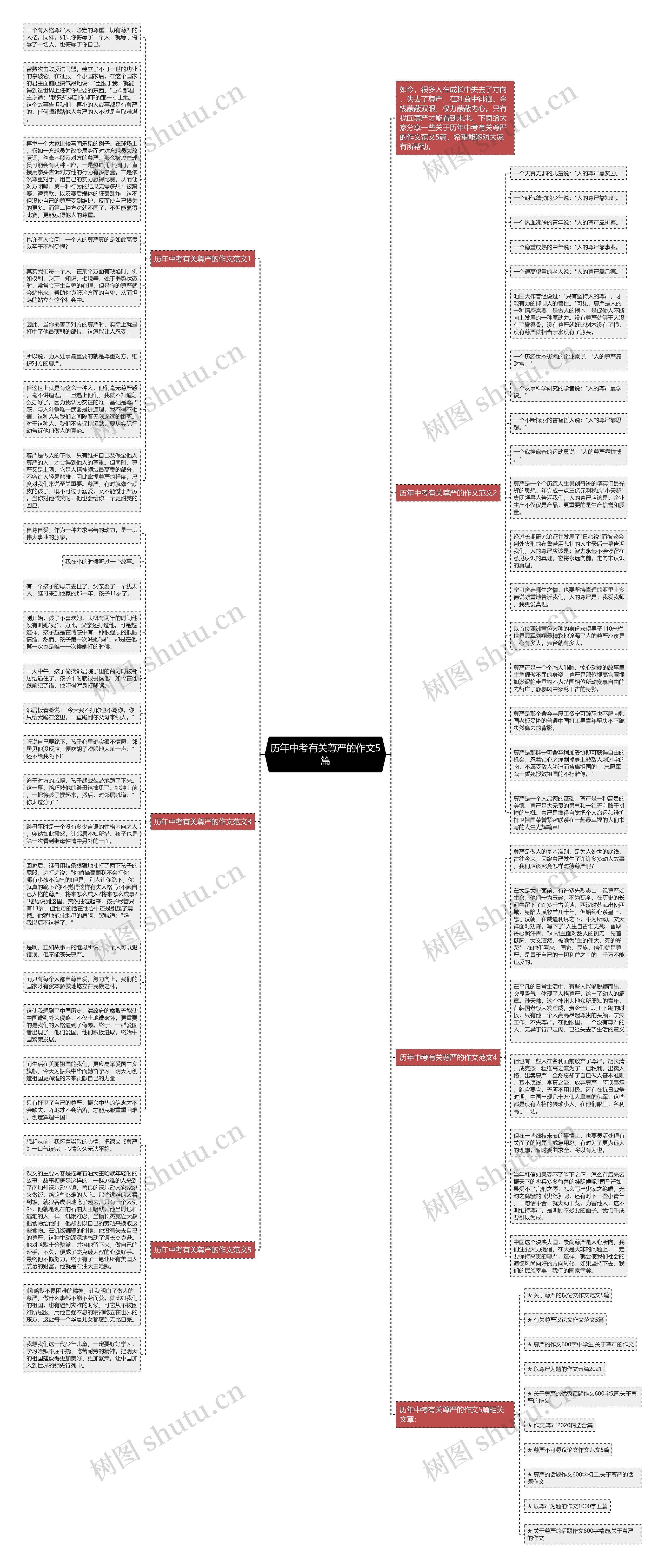 历年中考有关尊严的作文5篇思维导图