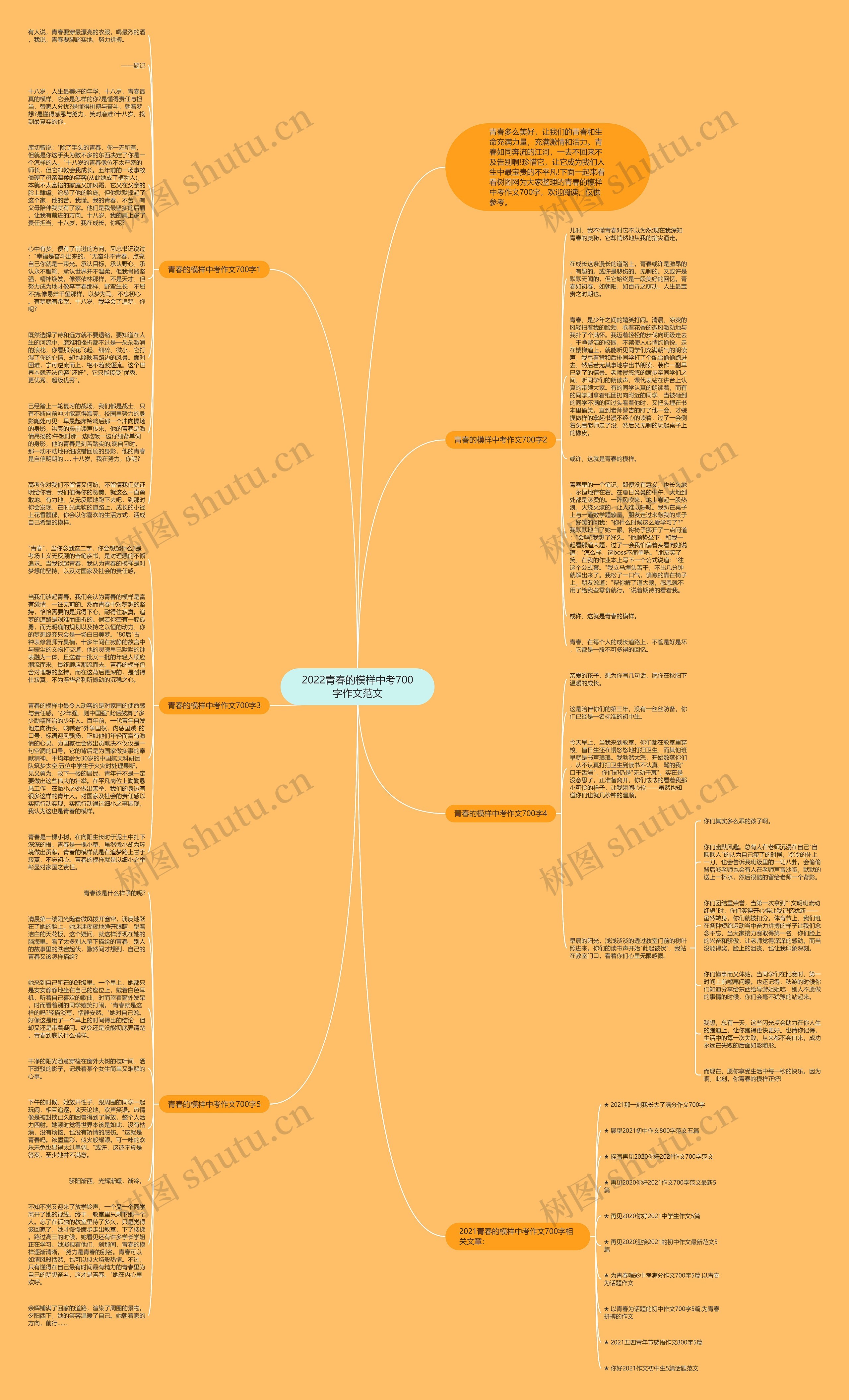 2022青春的模样中考700字作文范文思维导图