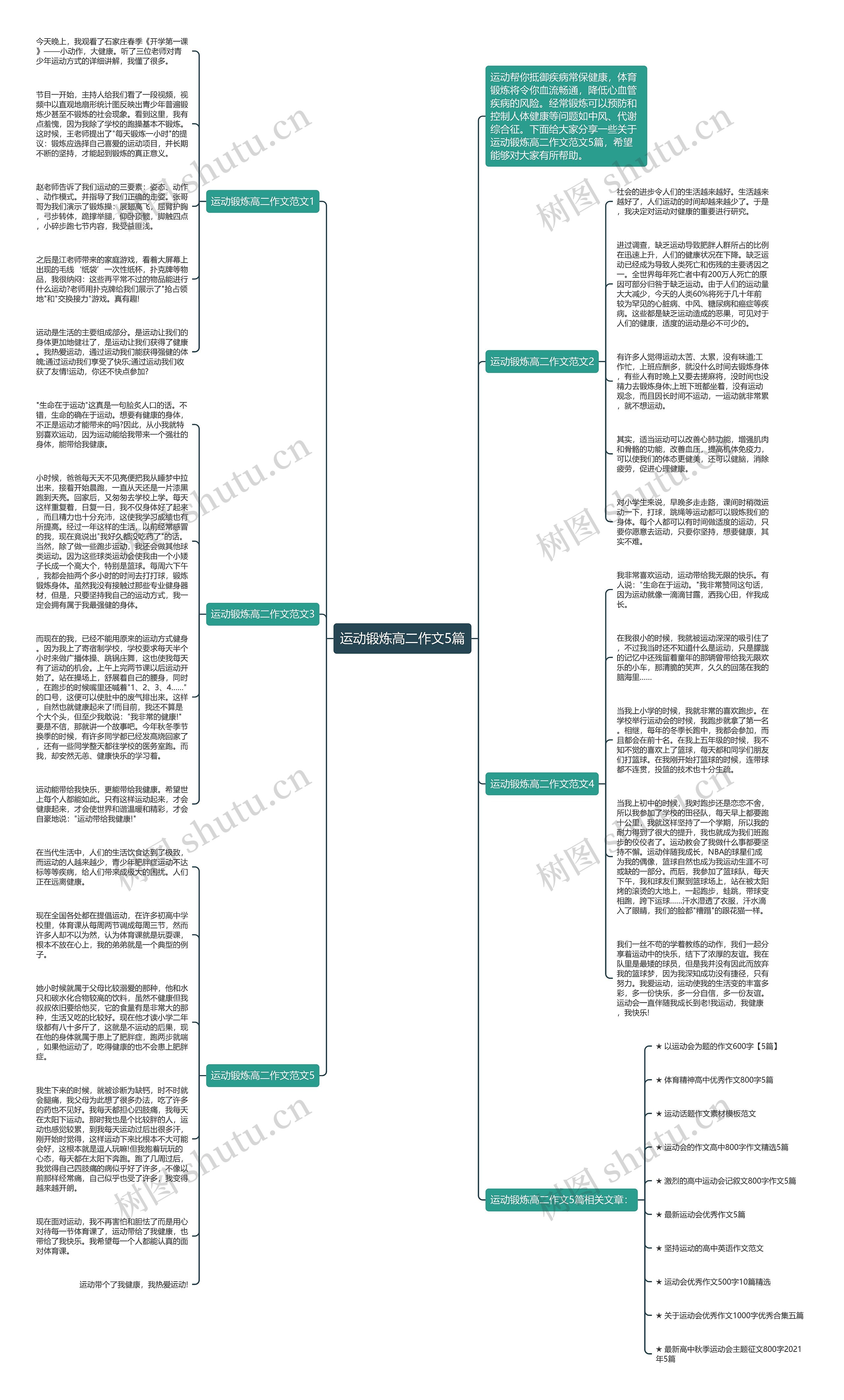 运动锻炼高二作文5篇思维导图
