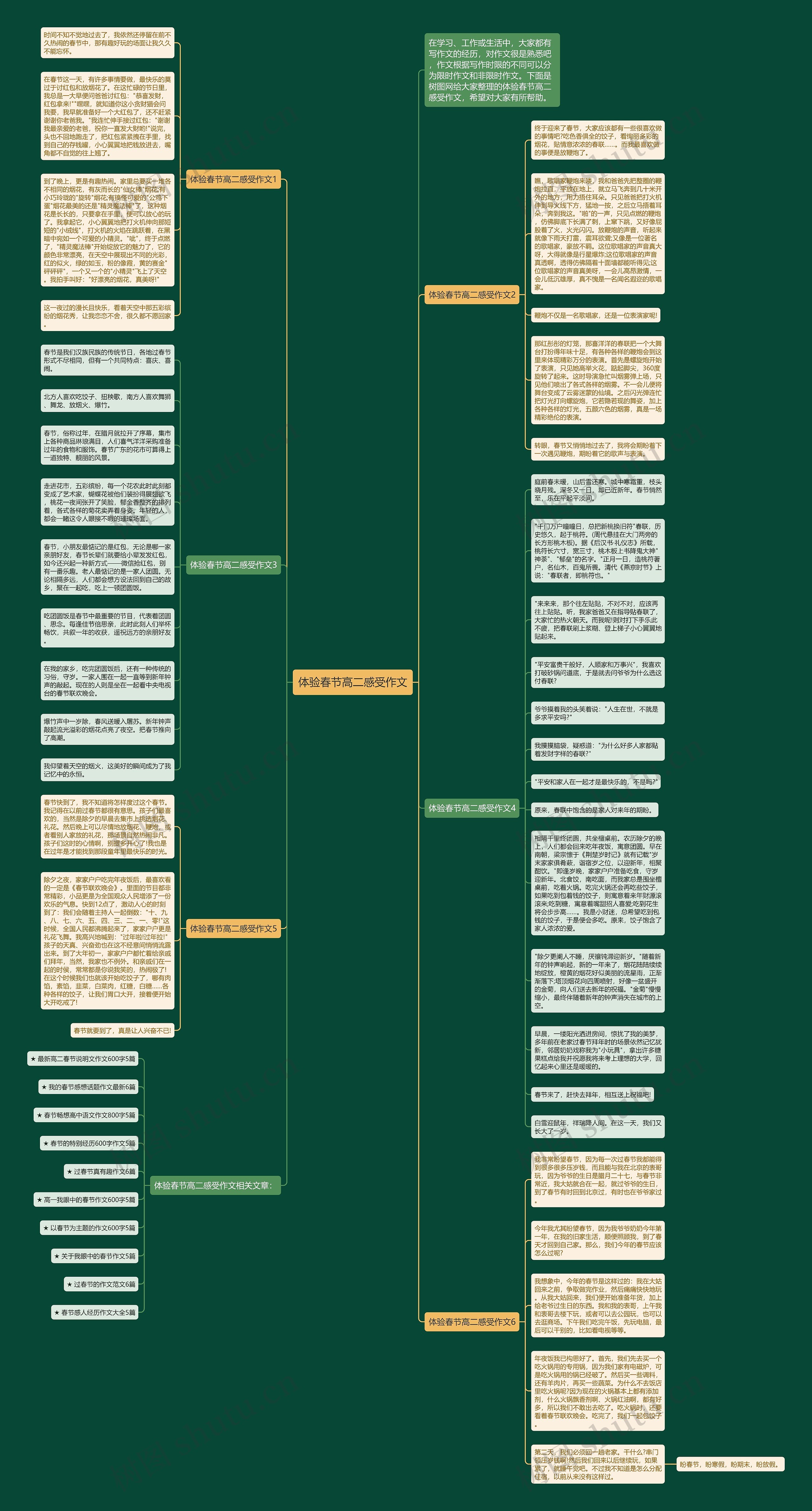 体验春节高二感受作文思维导图