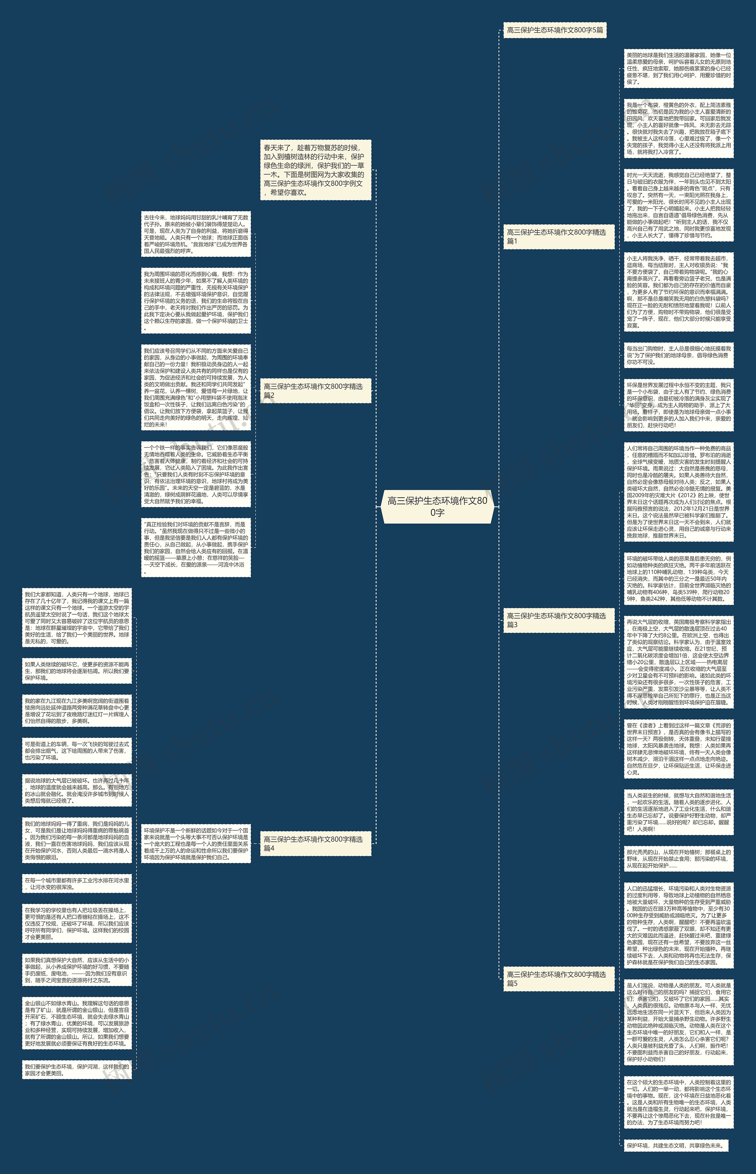 高三保护生态环境作文800字思维导图