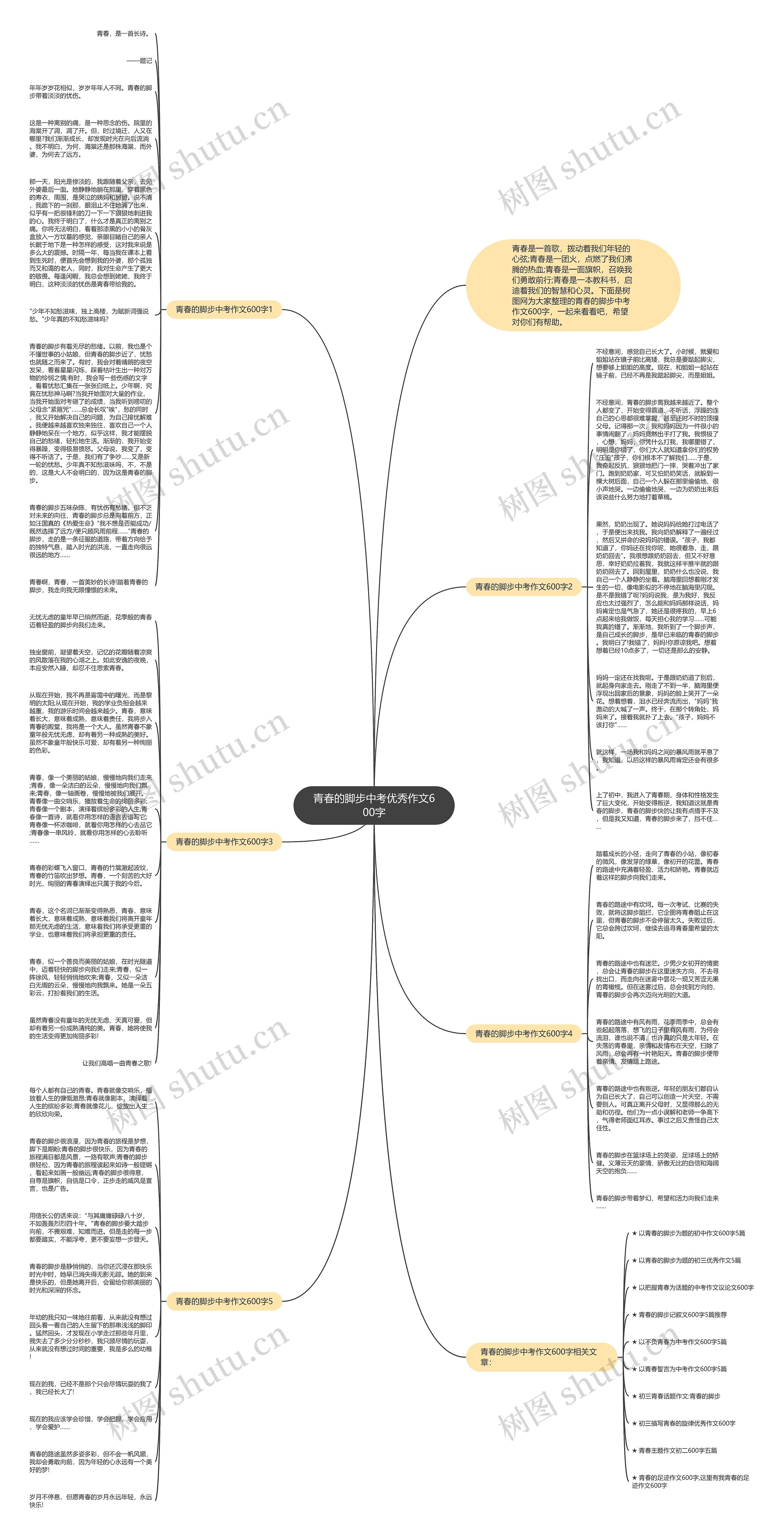 青春的脚步中考优秀作文600字思维导图
