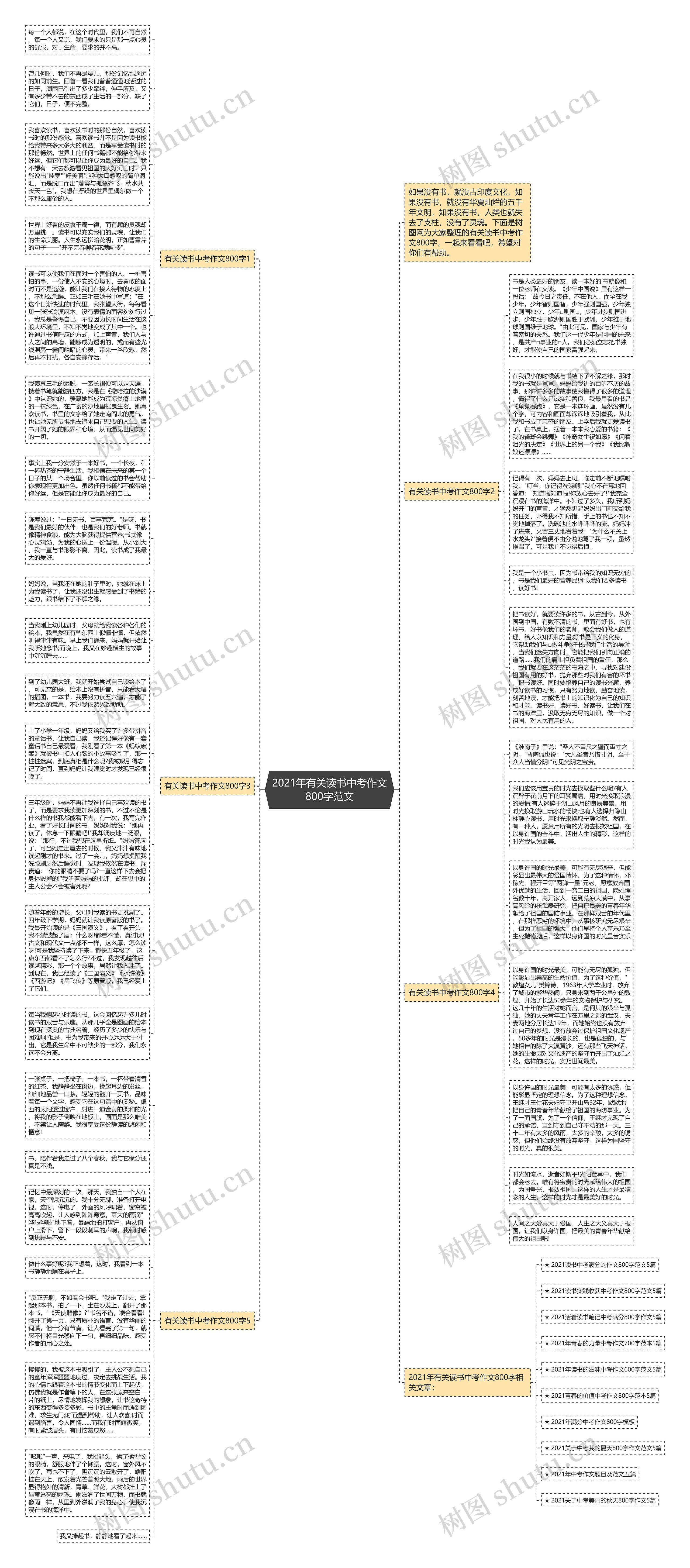 2021年有关读书中考作文800字范文思维导图