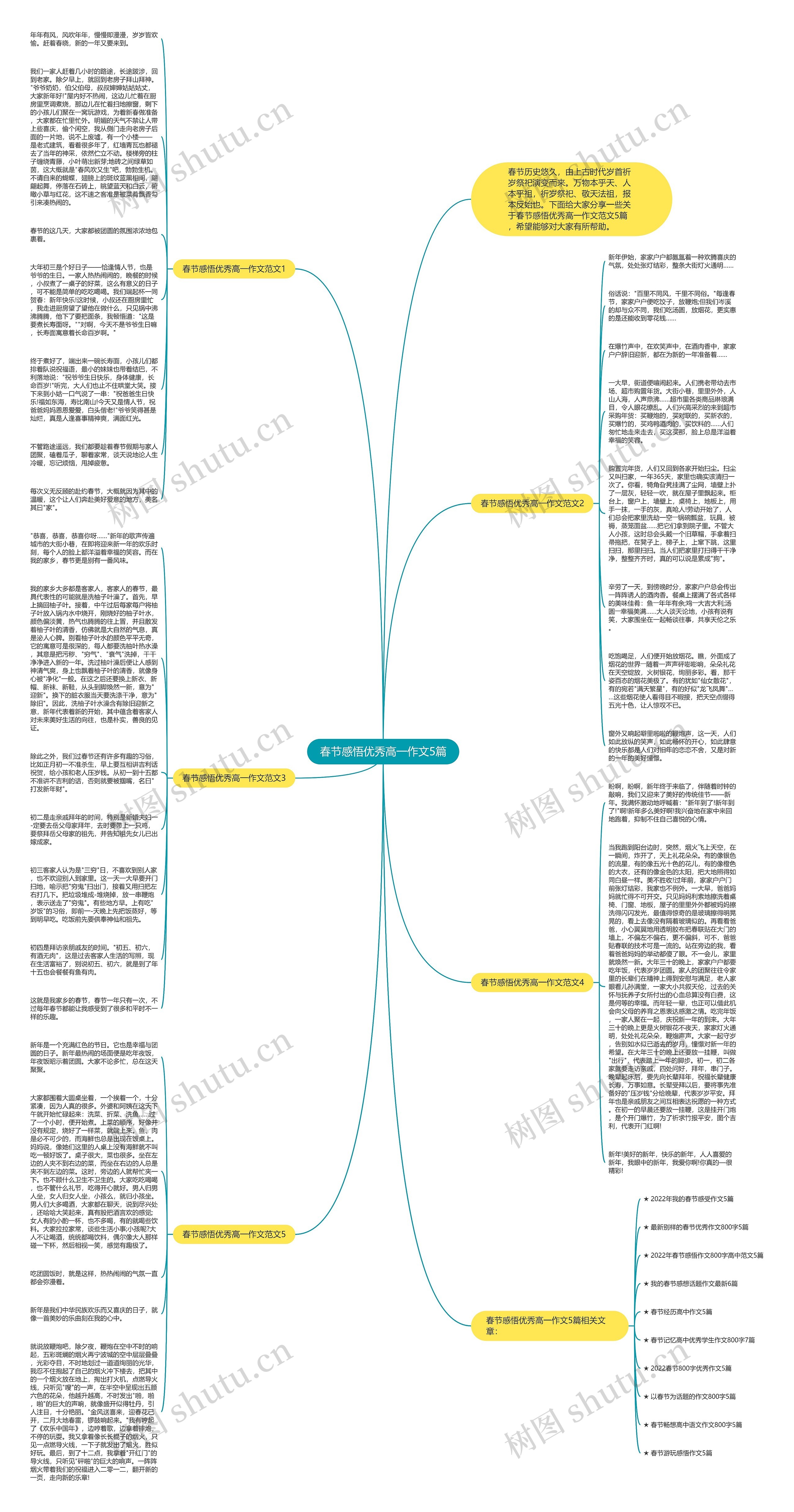 春节感悟优秀高一作文5篇思维导图