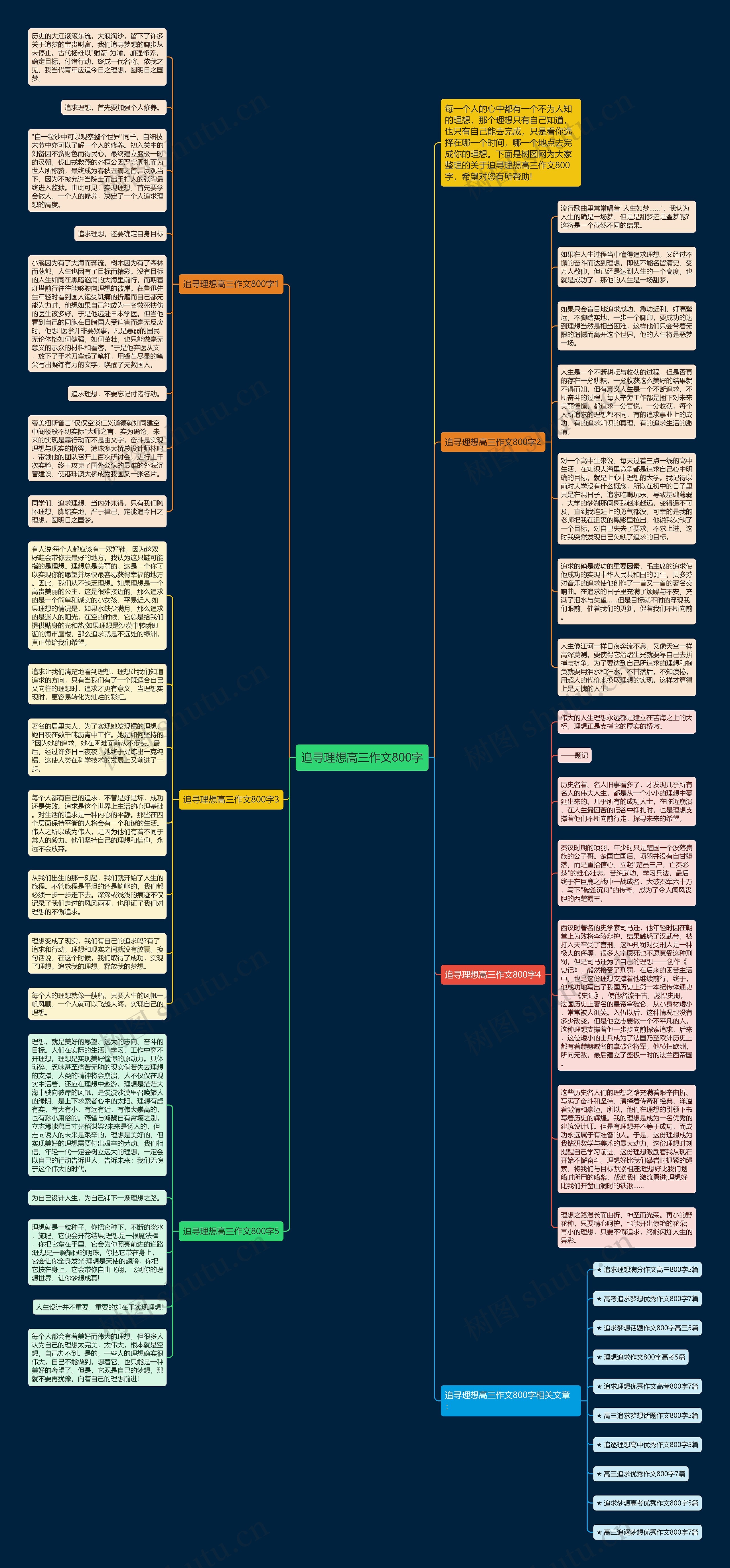 追寻理想高三作文800字思维导图