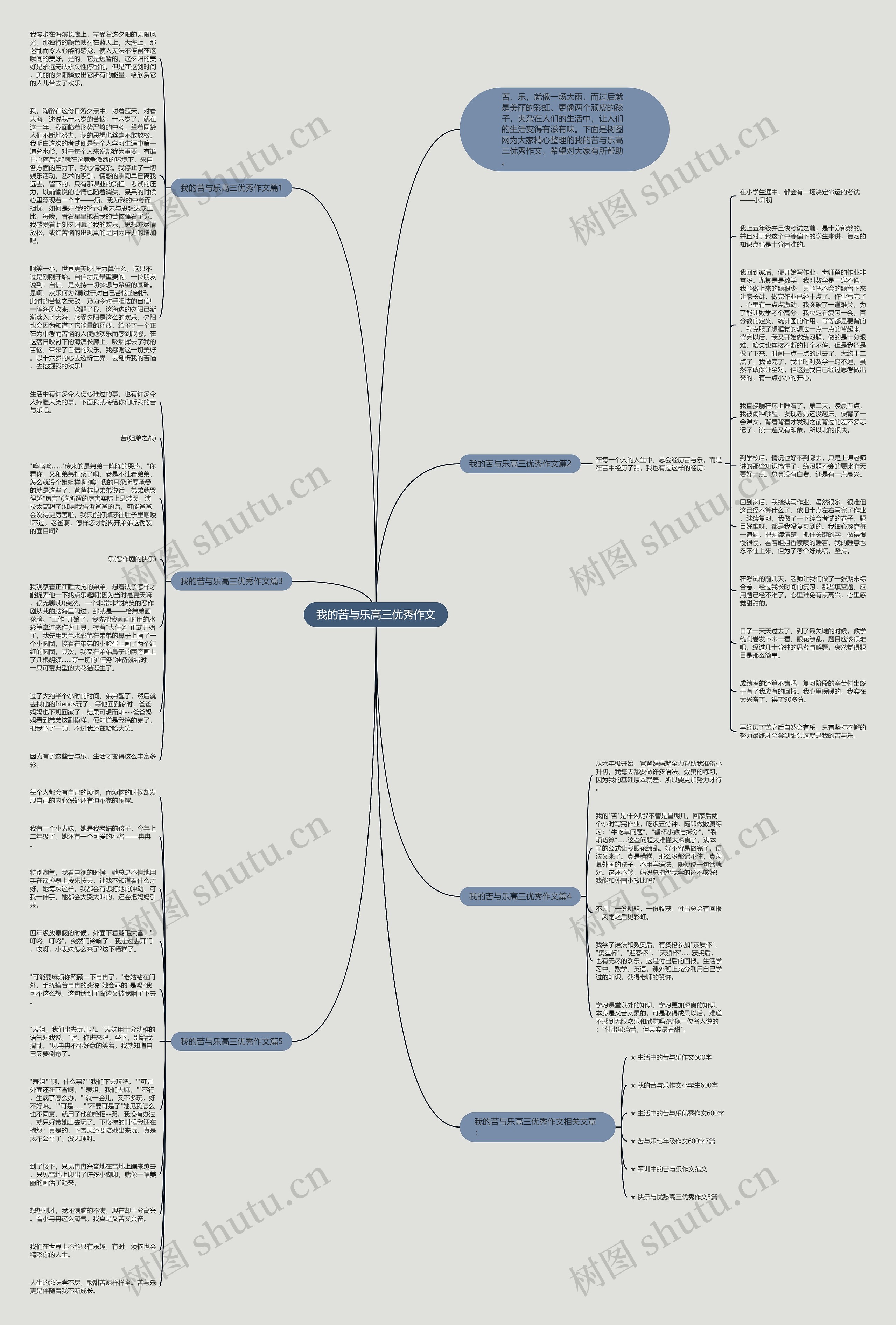 我的苦与乐高三优秀作文思维导图