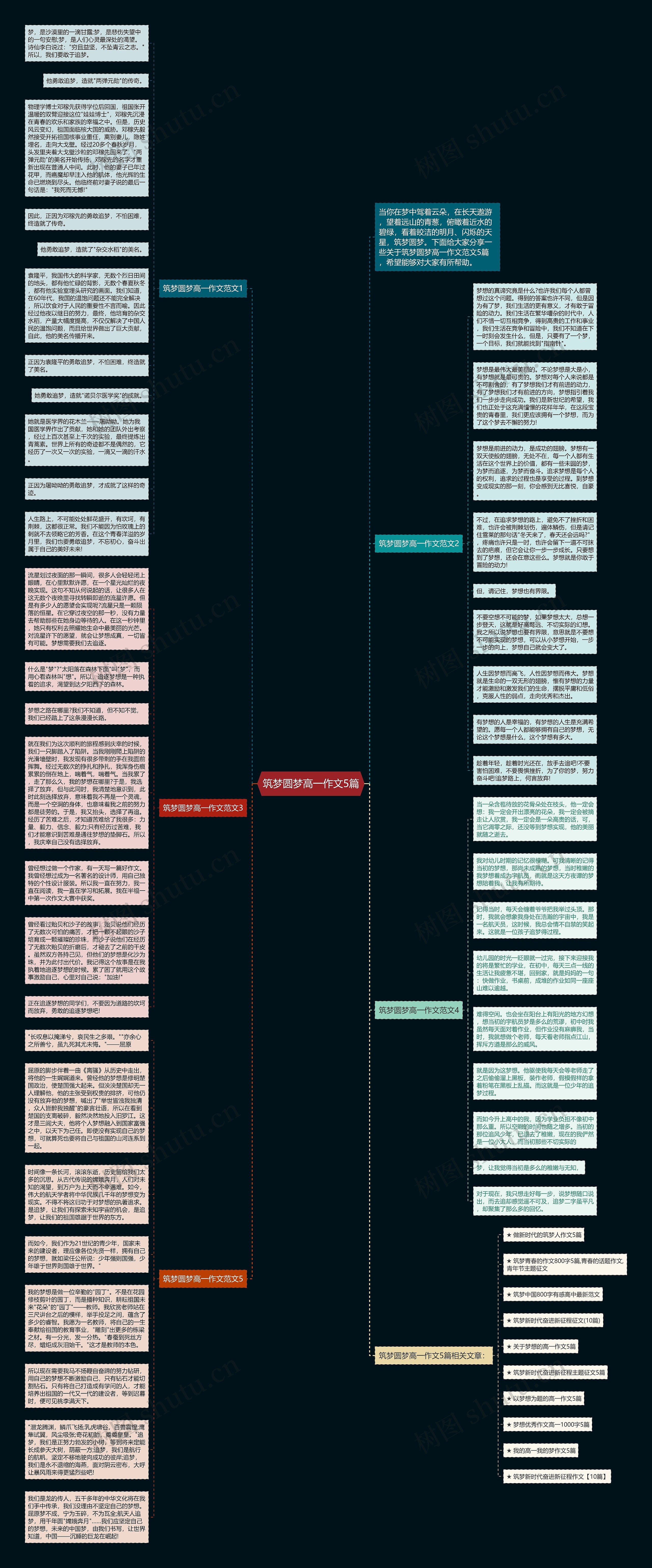 筑梦圆梦高一作文5篇思维导图