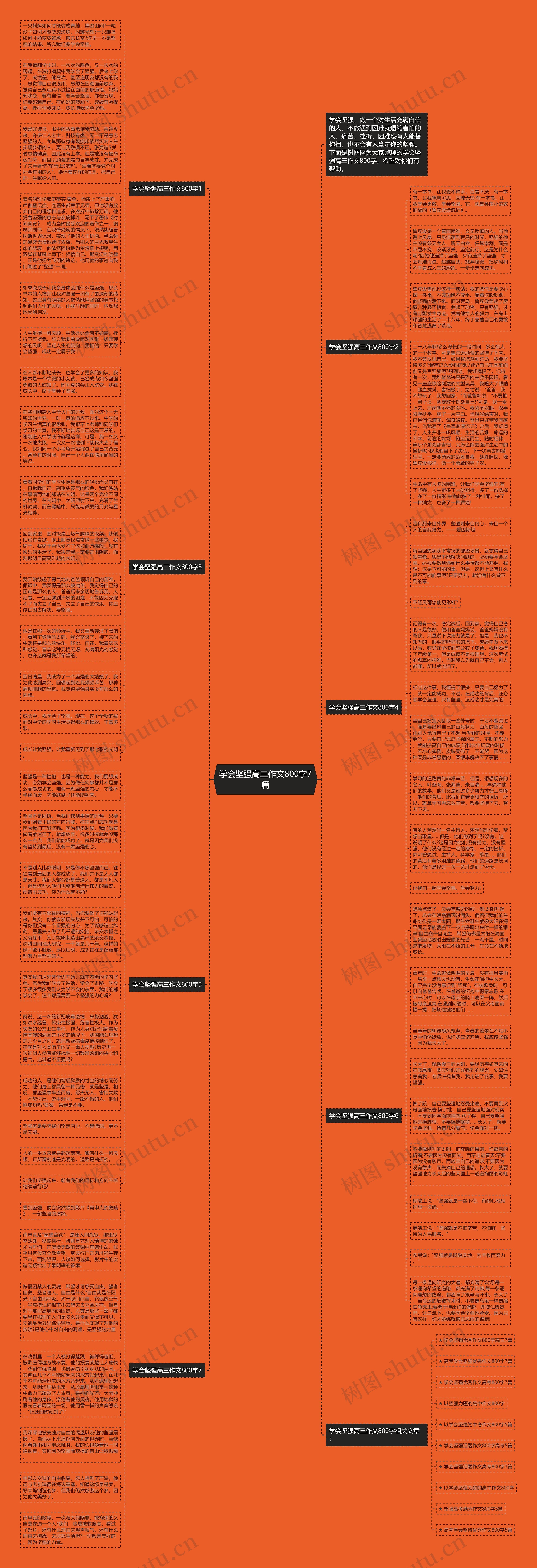 学会坚强高三作文800字7篇思维导图高清图 学会坚强高三作文800字7篇思维导图