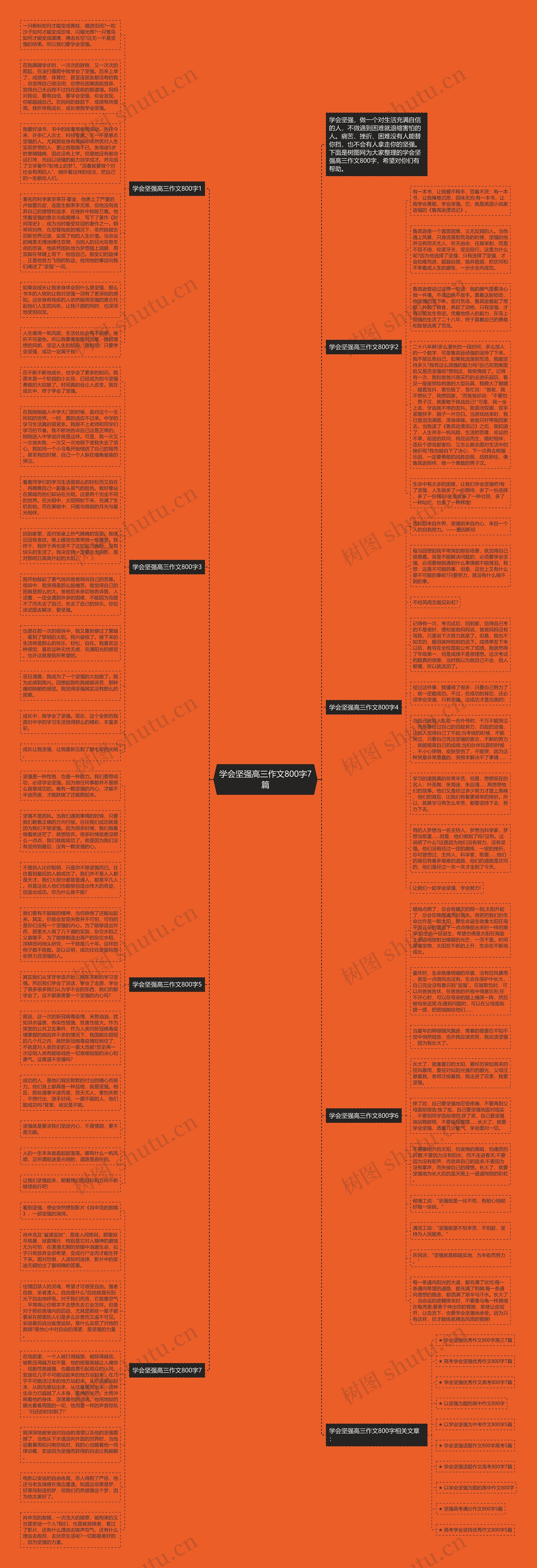 学会坚强高三作文800字7篇思维导图