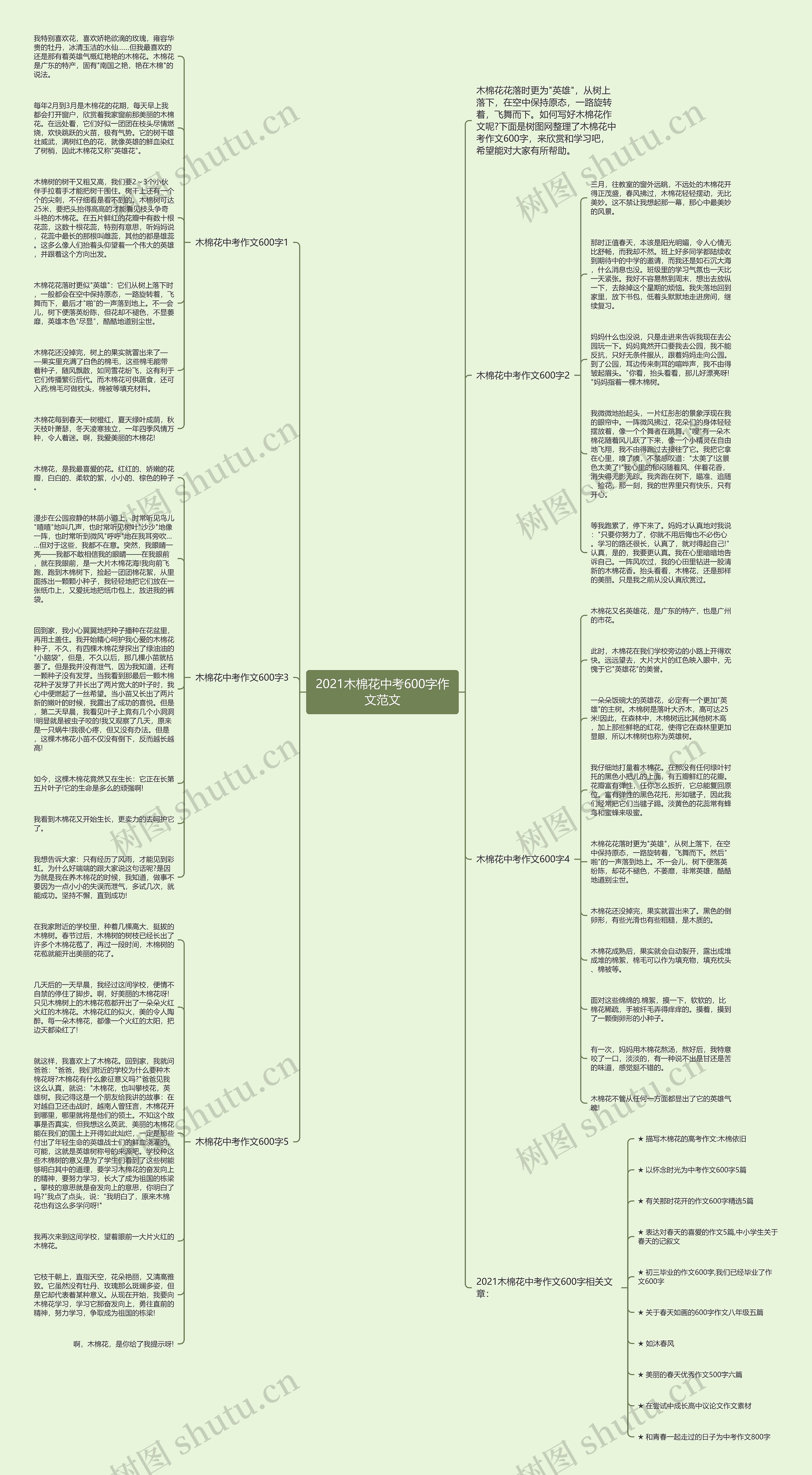2021木棉花中考600字作文范文思维导图