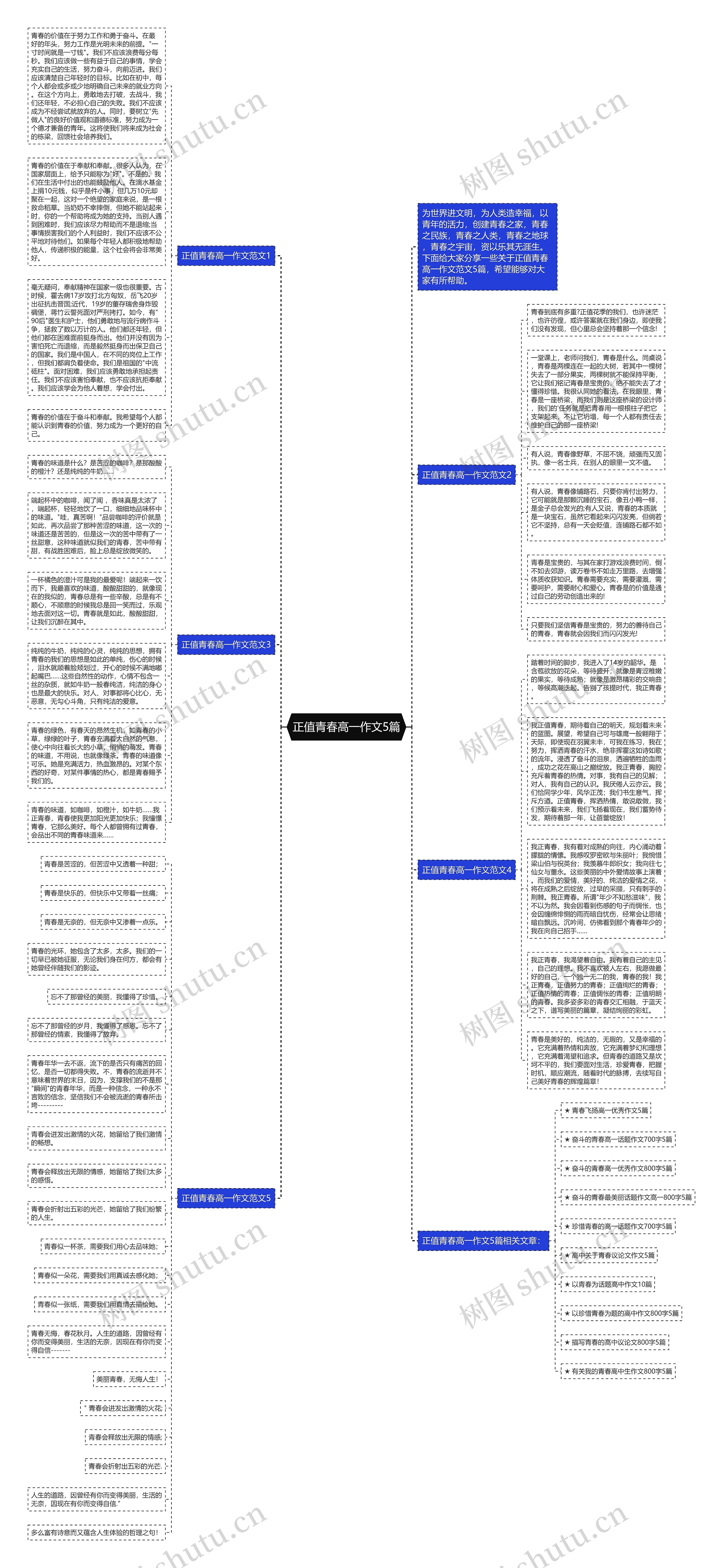 正值青春高一作文5篇思维导图