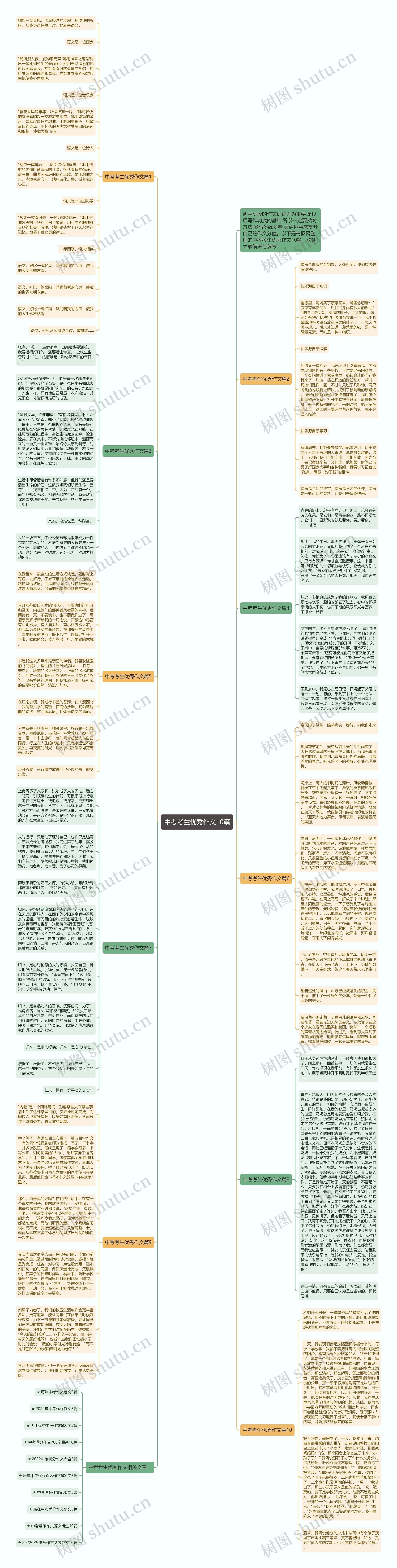 中考考生优秀作文10篇思维导图