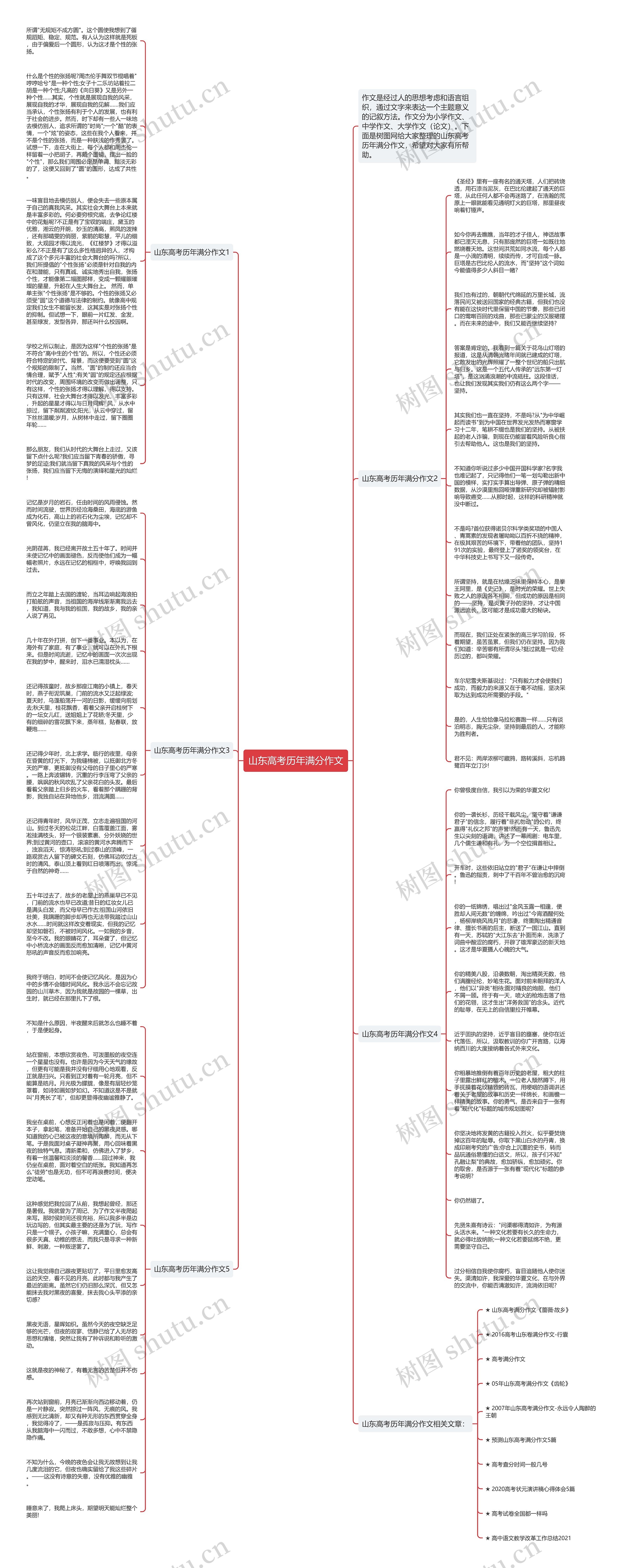 山东高考历年满分作文思维导图
