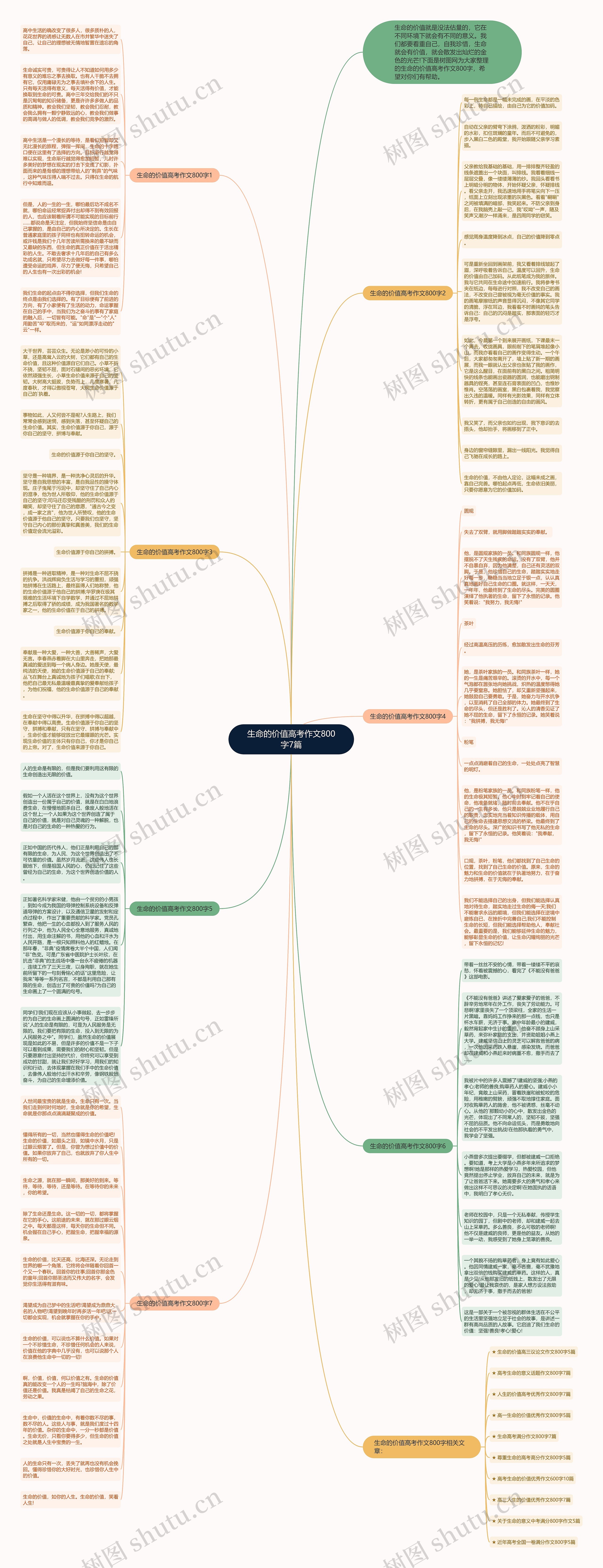 生命的价值高考作文800字7篇思维导图