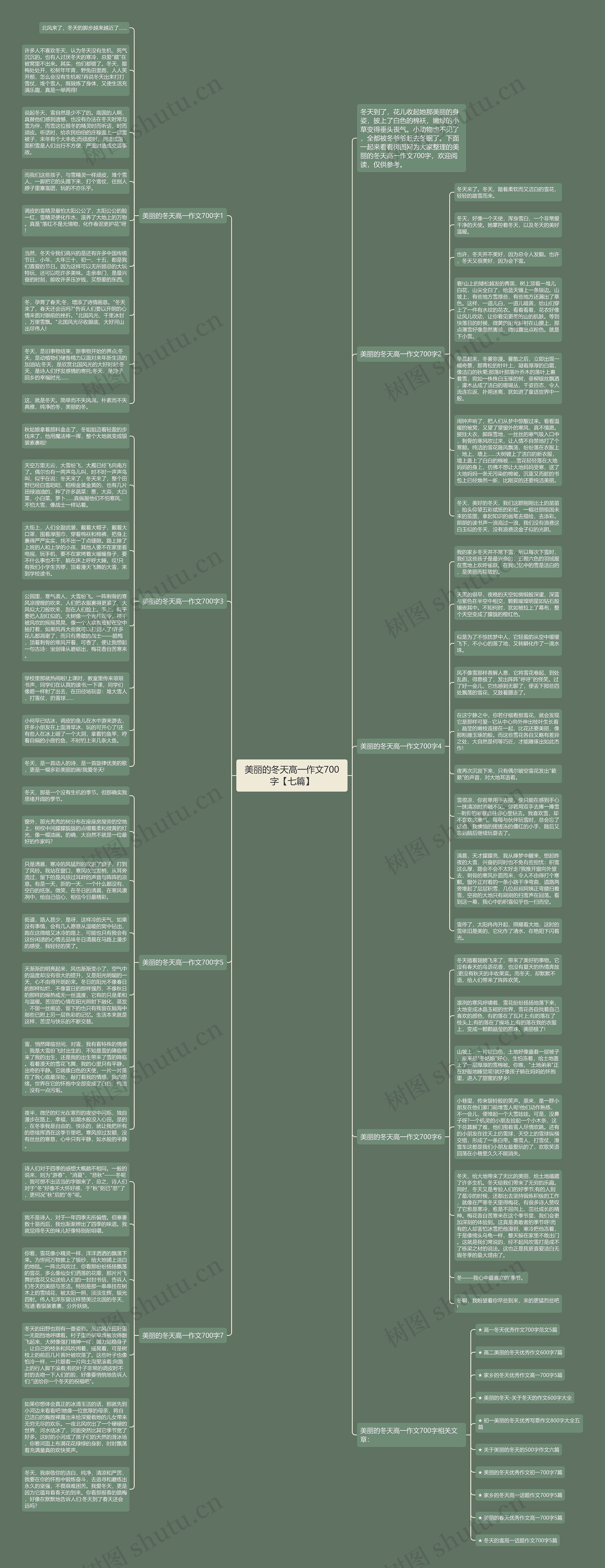 美丽的冬天高一作文700字【七篇】思维导图