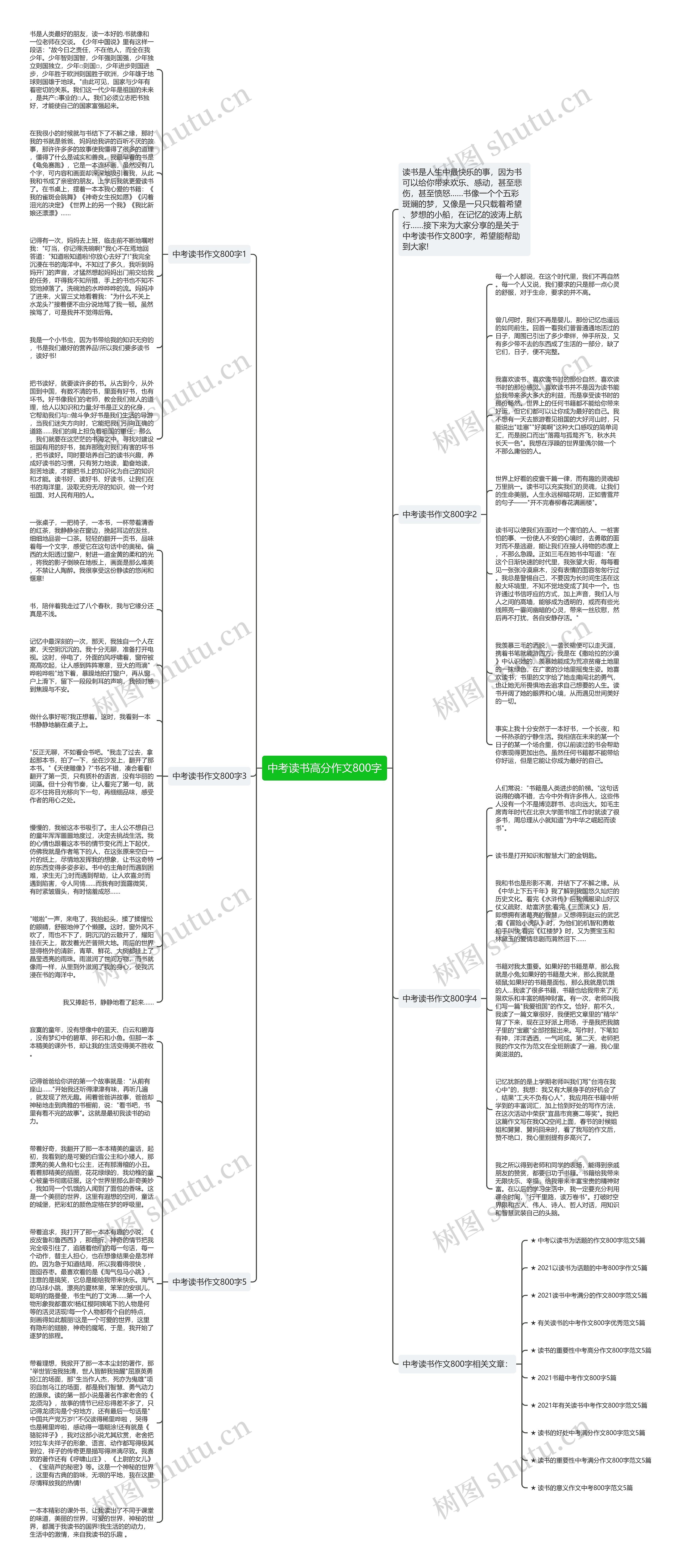 中考读书高分作文800字思维导图