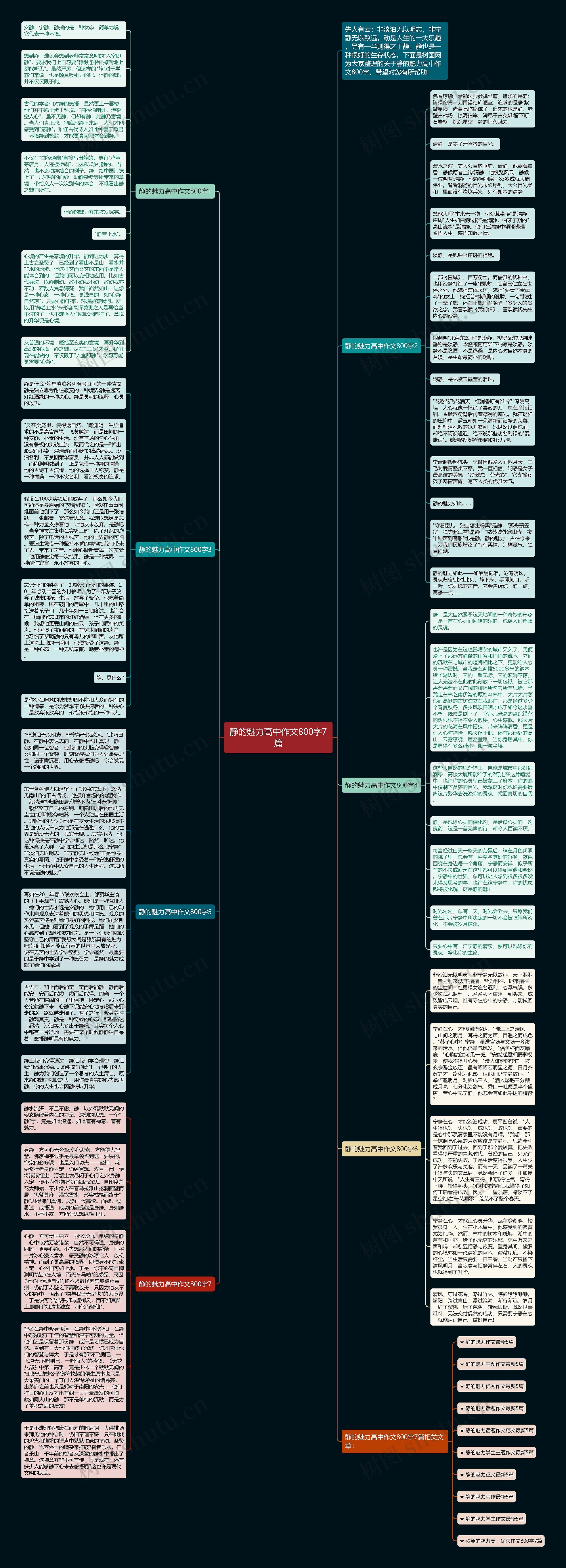 静的魅力高中作文800字7篇思维导图