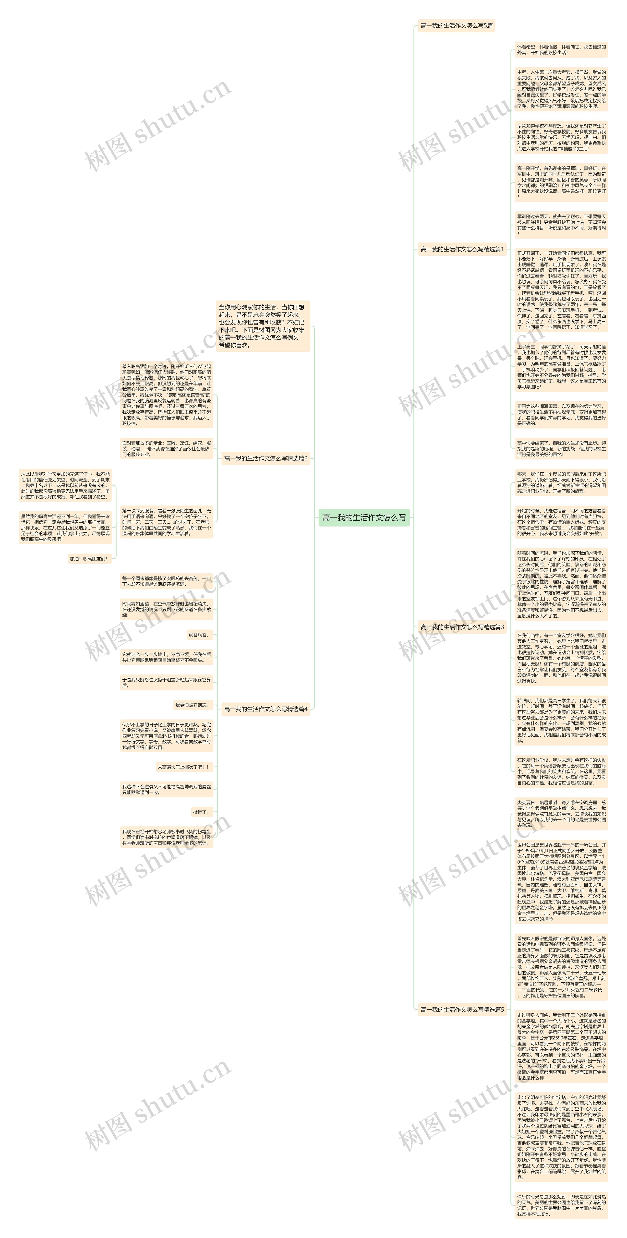 高一我的生活作文怎么写思维导图