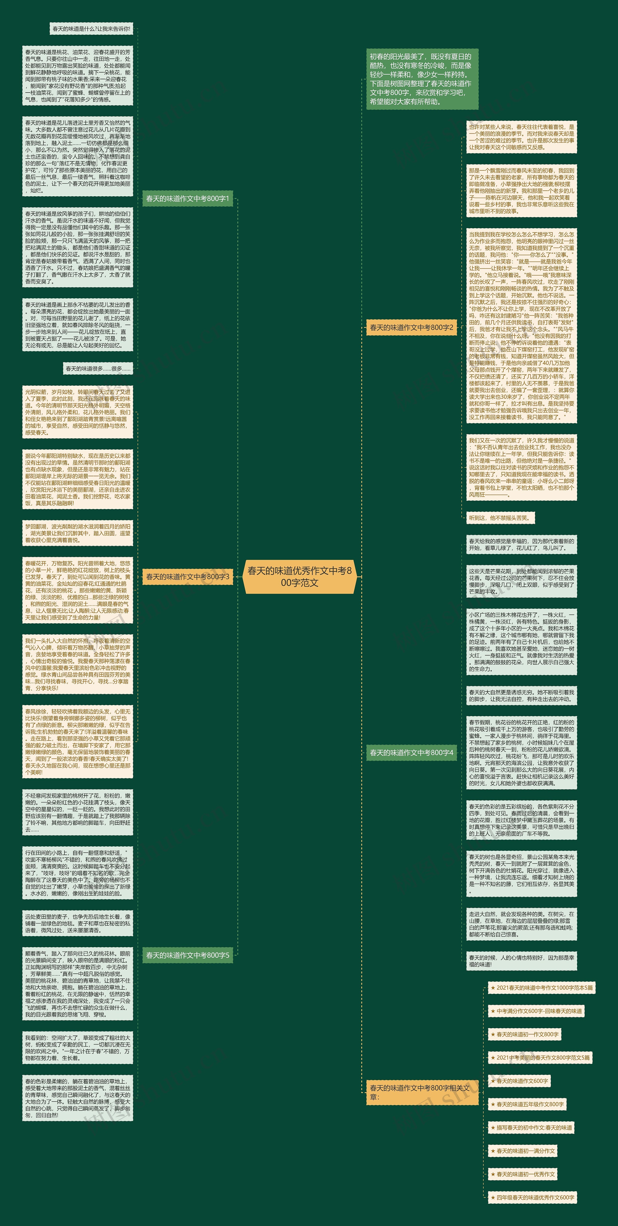 春天的味道优秀作文中考800字范文