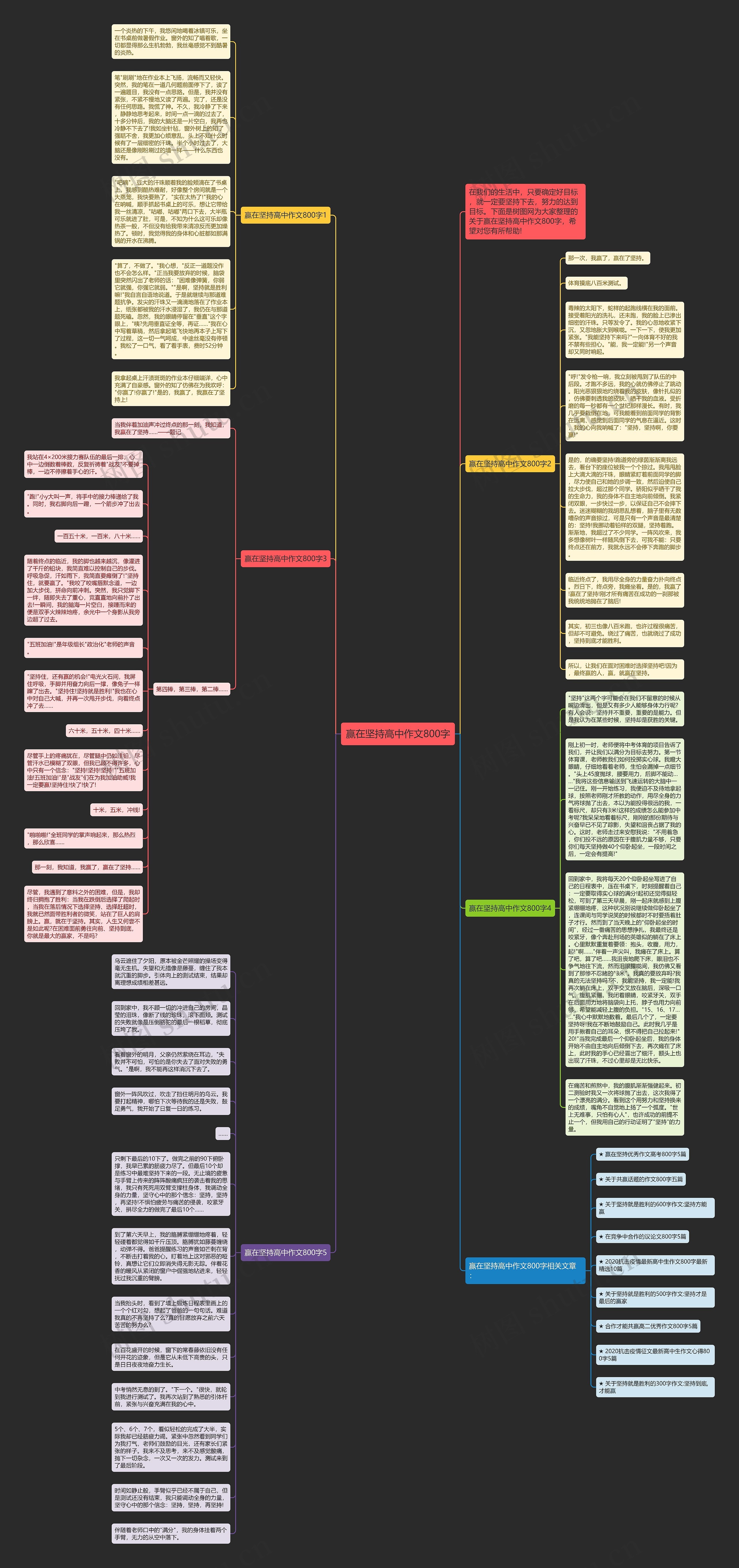 赢在坚持高中作文800字思维导图