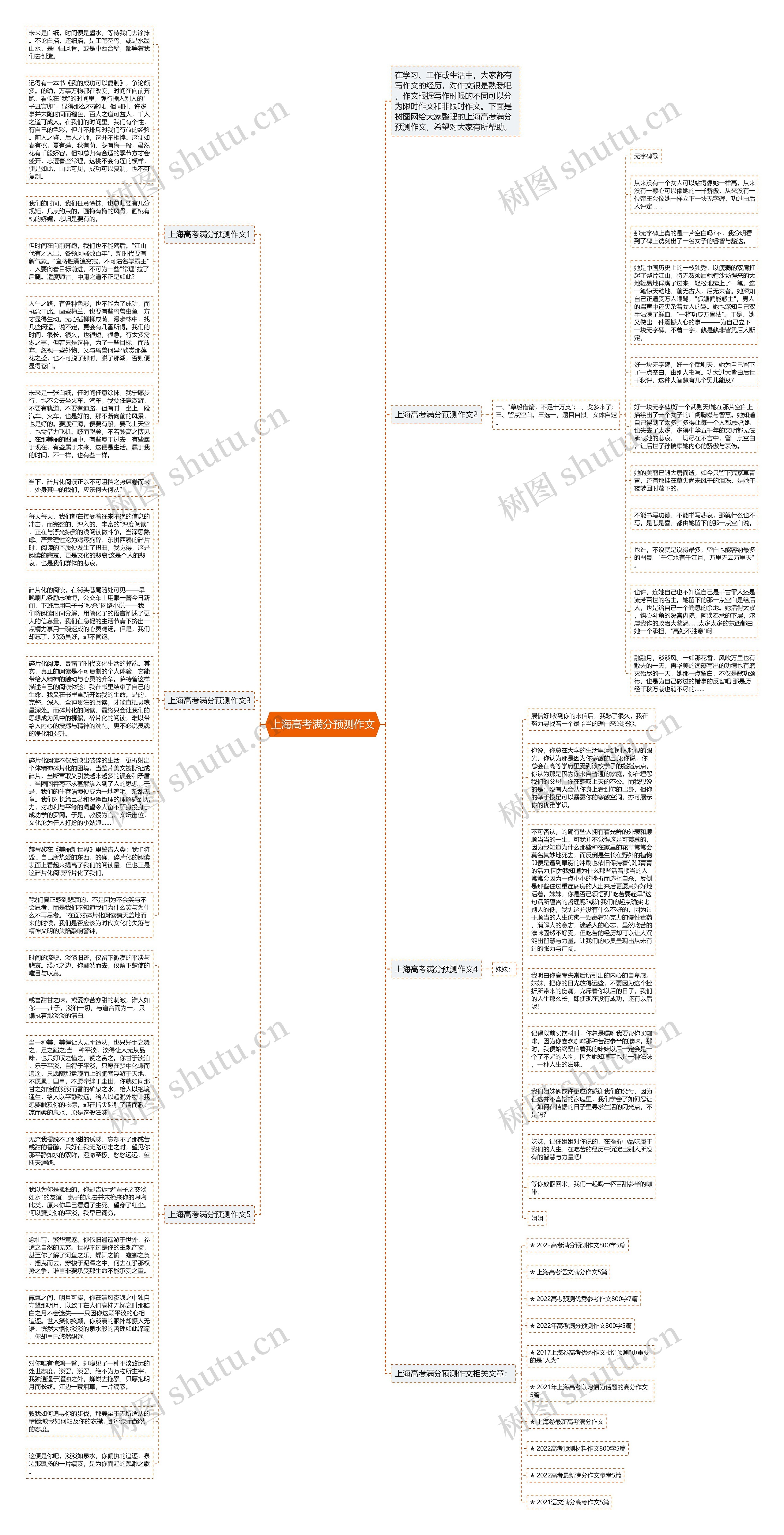 上海高考满分预测作文思维导图