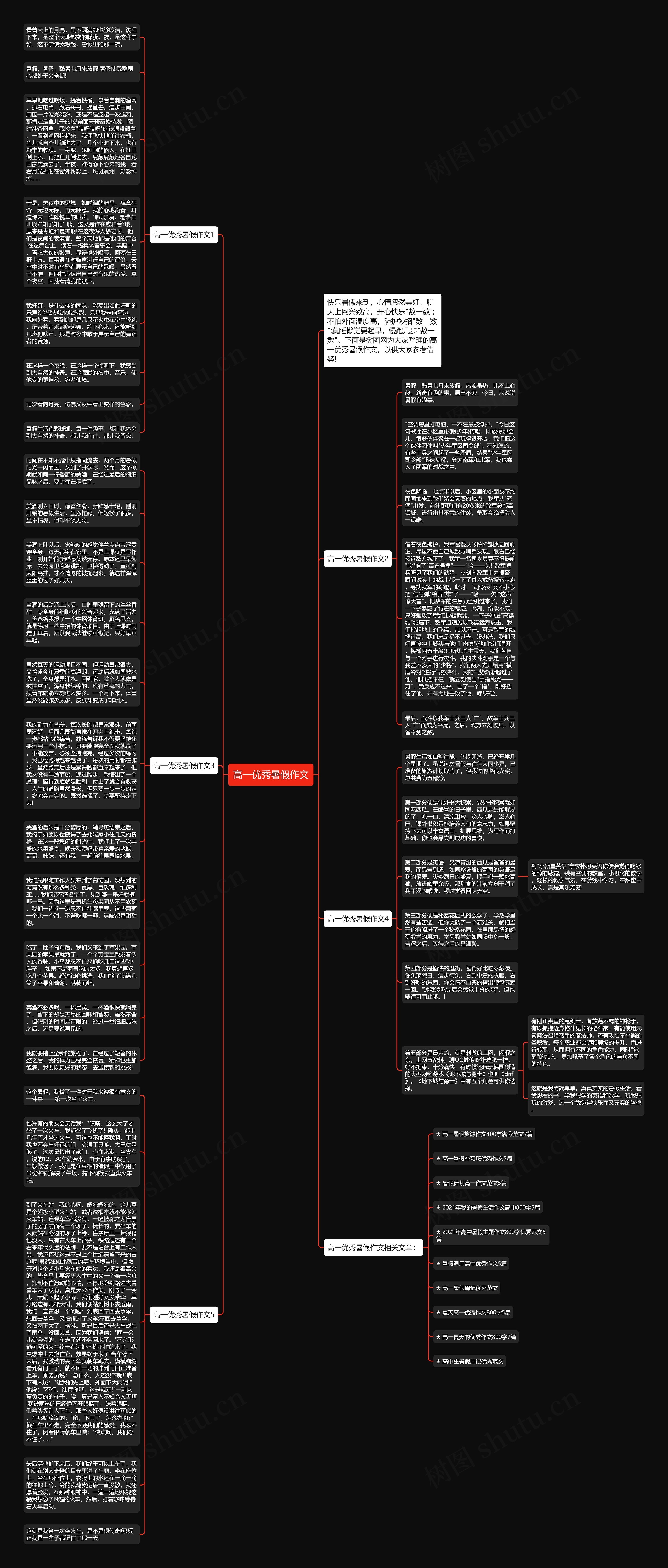 高一优秀暑假作文思维导图
