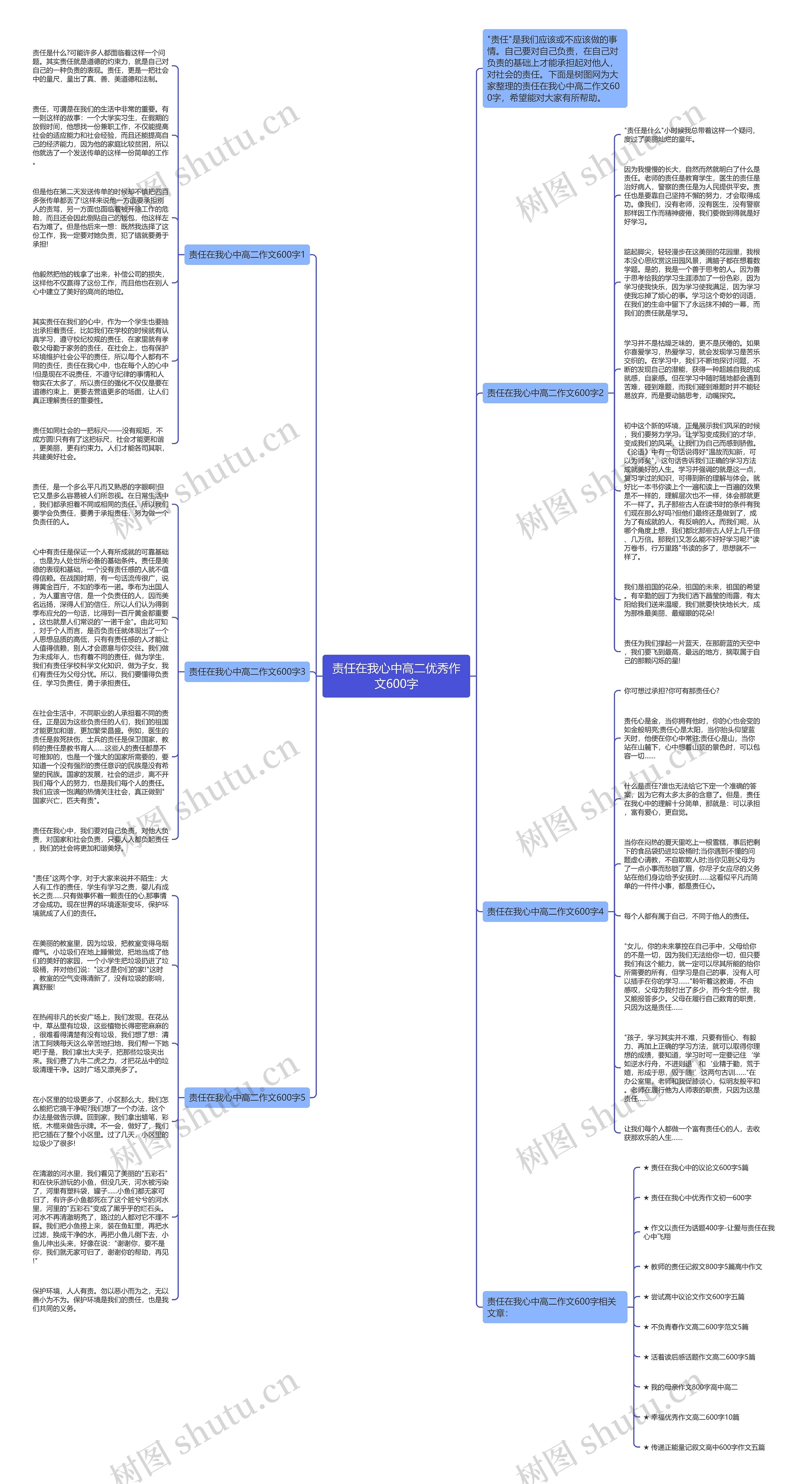 责任在我心中高二优秀作文600字思维导图