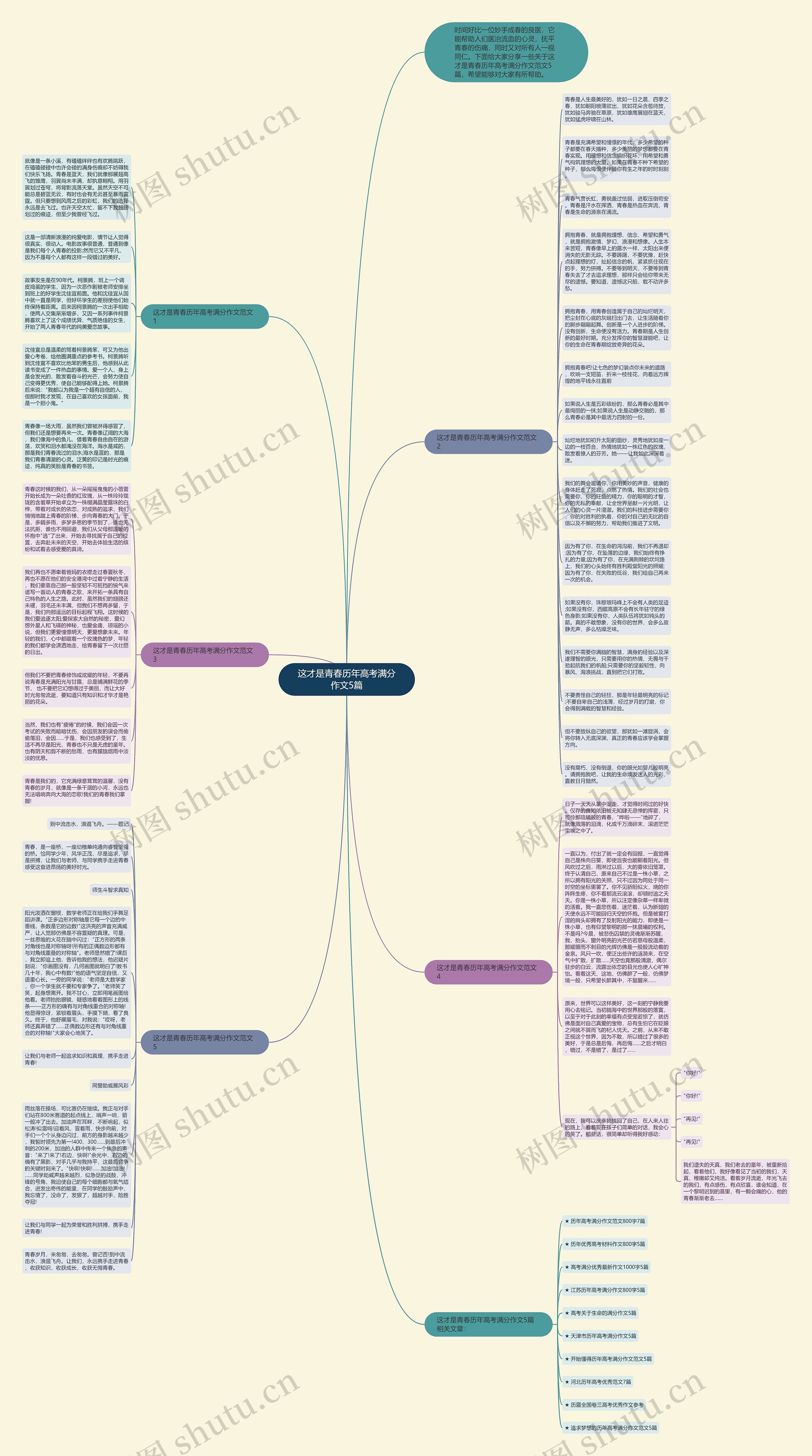 这才是青春历年高考满分作文5篇思维导图