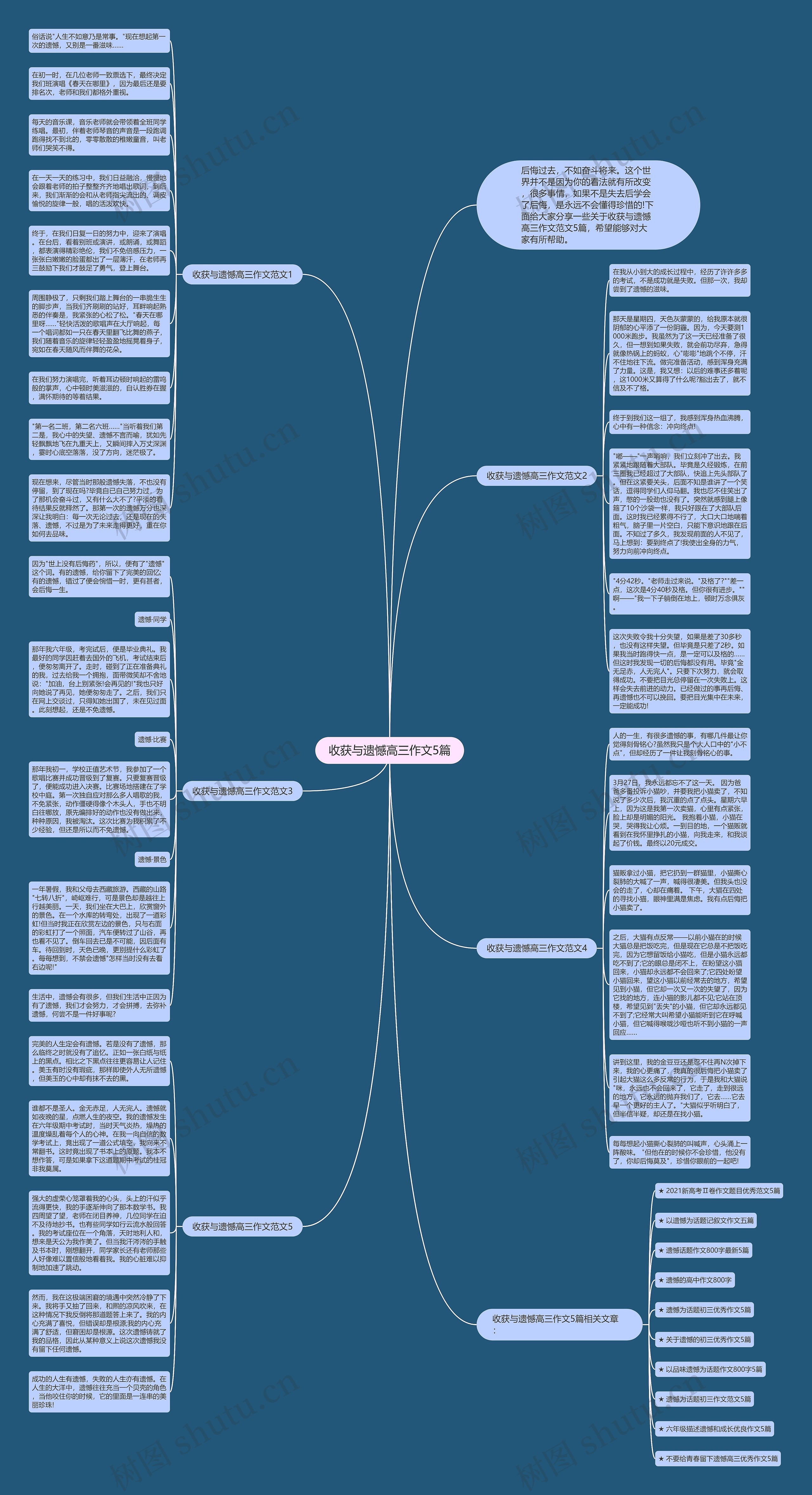 收获与遗憾高三作文5篇思维导图