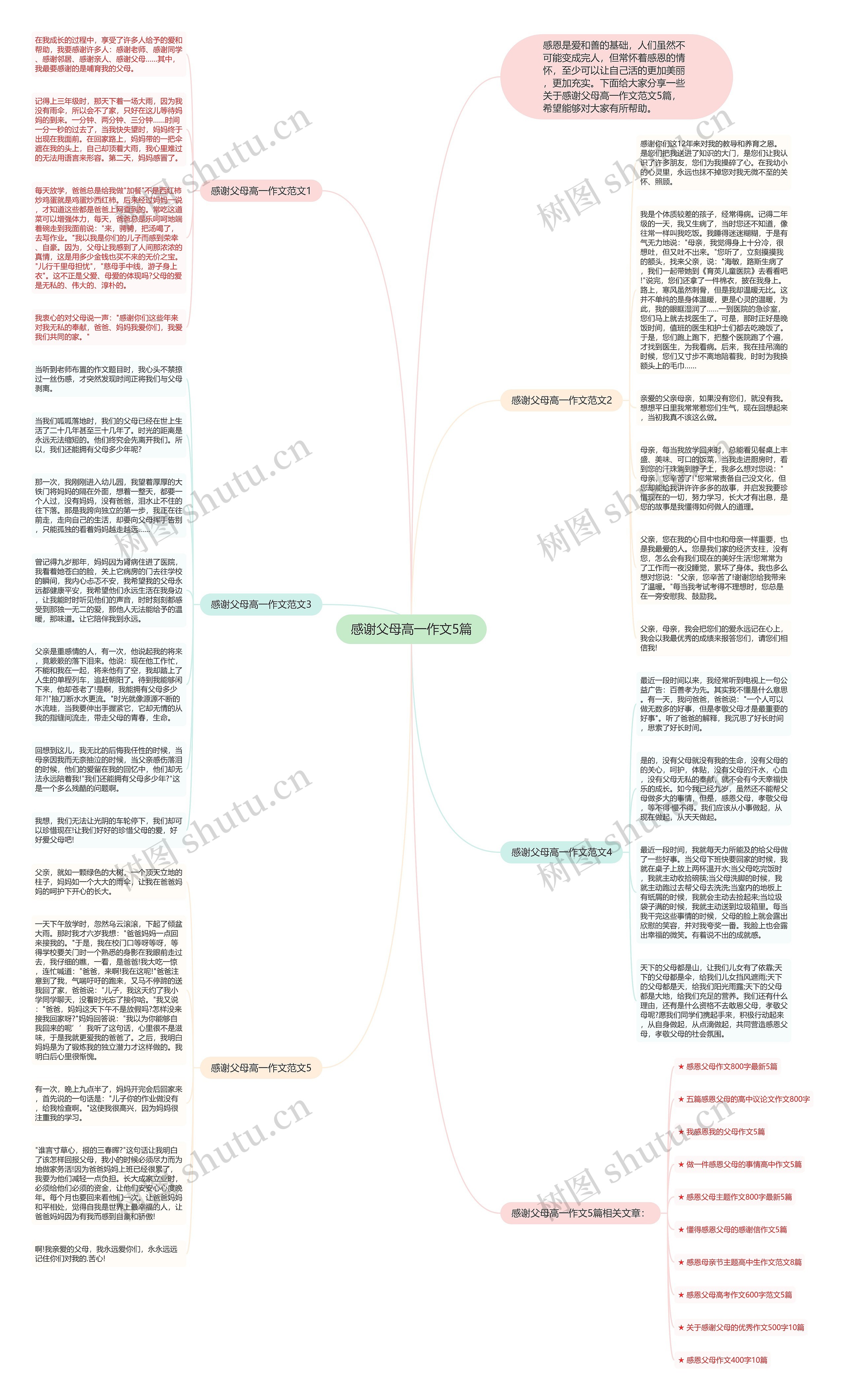 感谢父母高一作文5篇思维导图