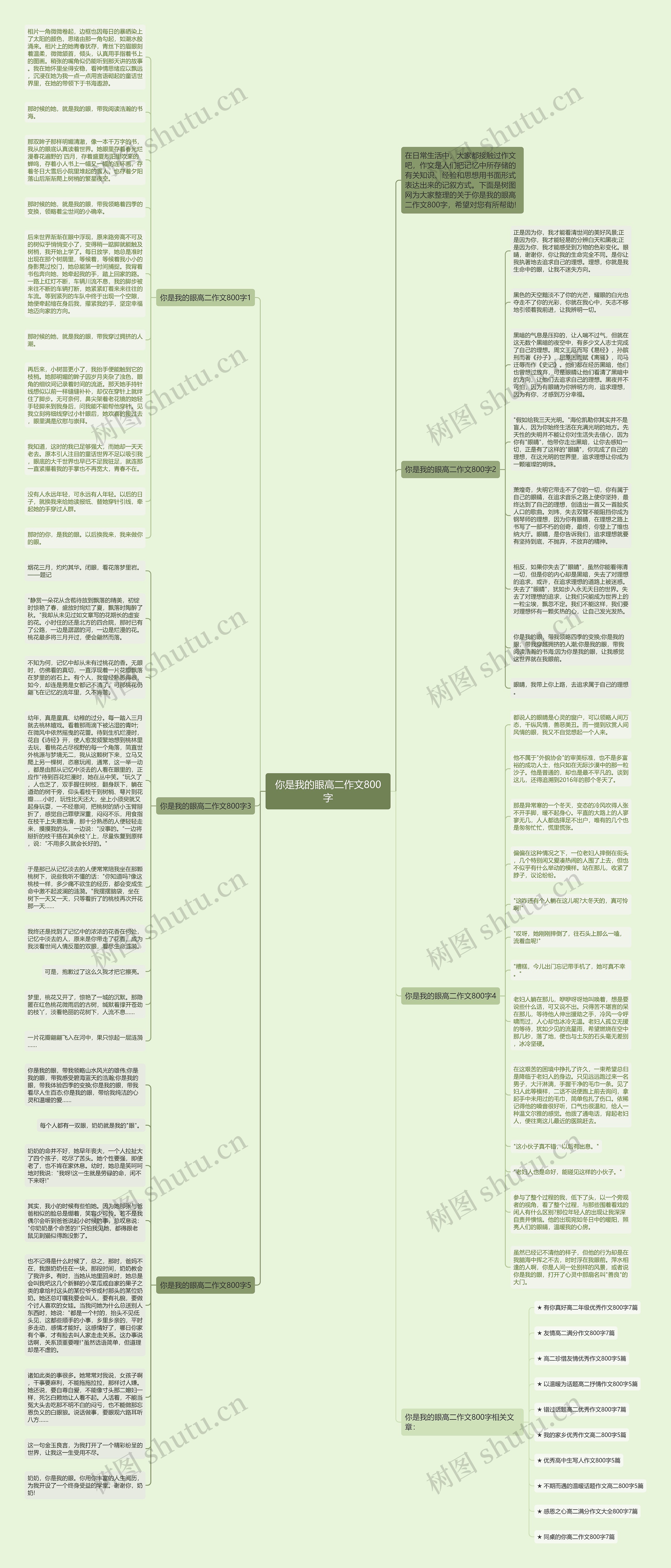 你是我的眼高二作文800字思维导图