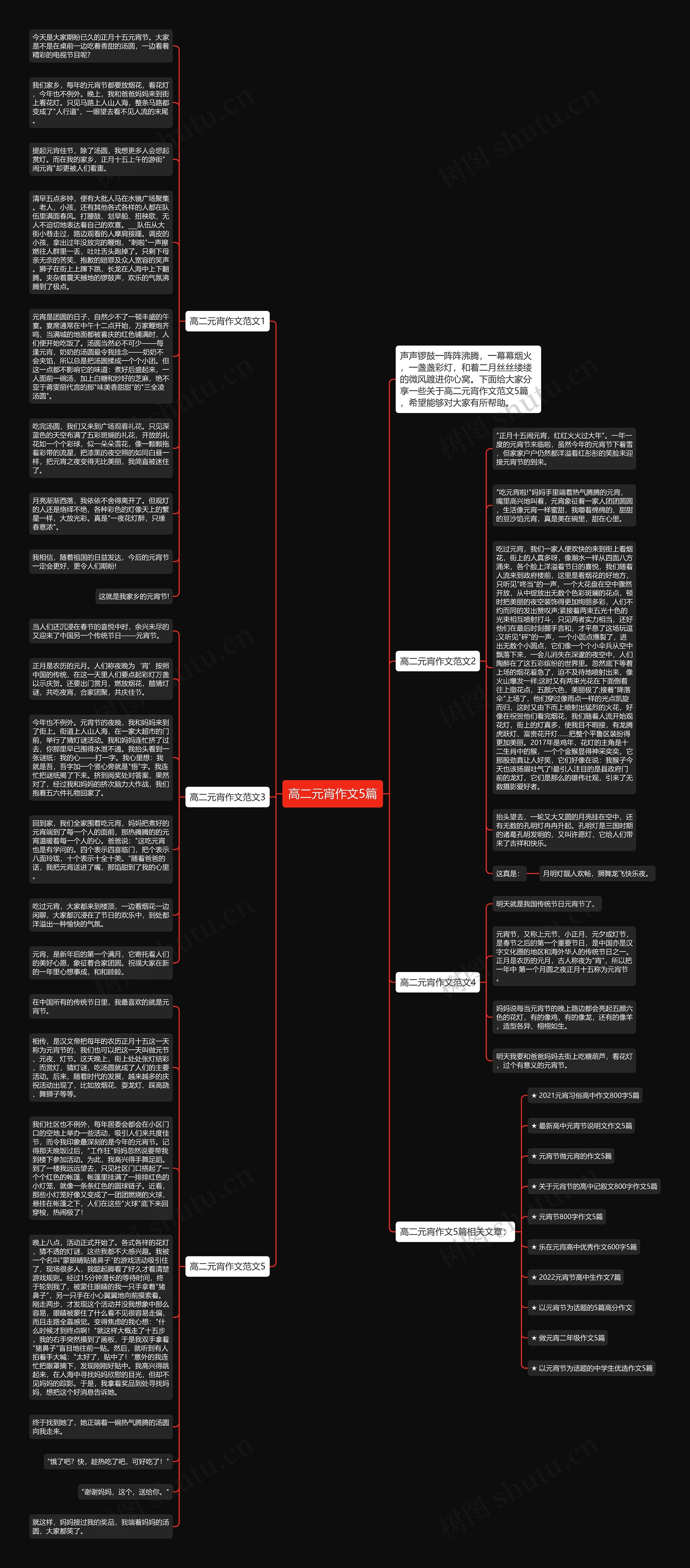 高二元宵作文5篇思维导图