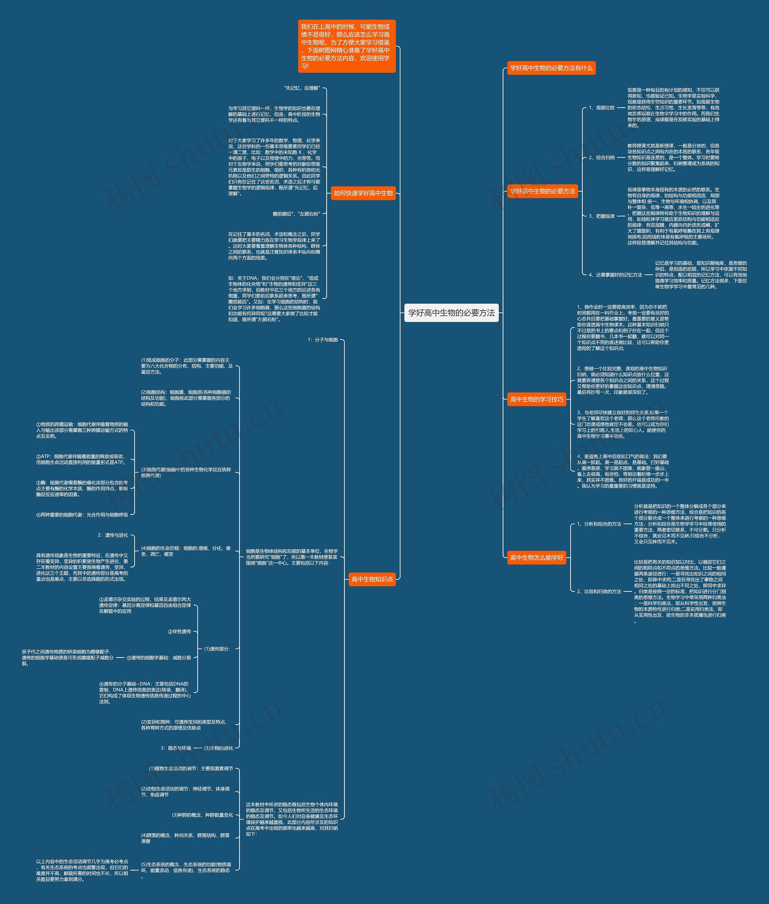 学好高中生物的必要方法思维导图