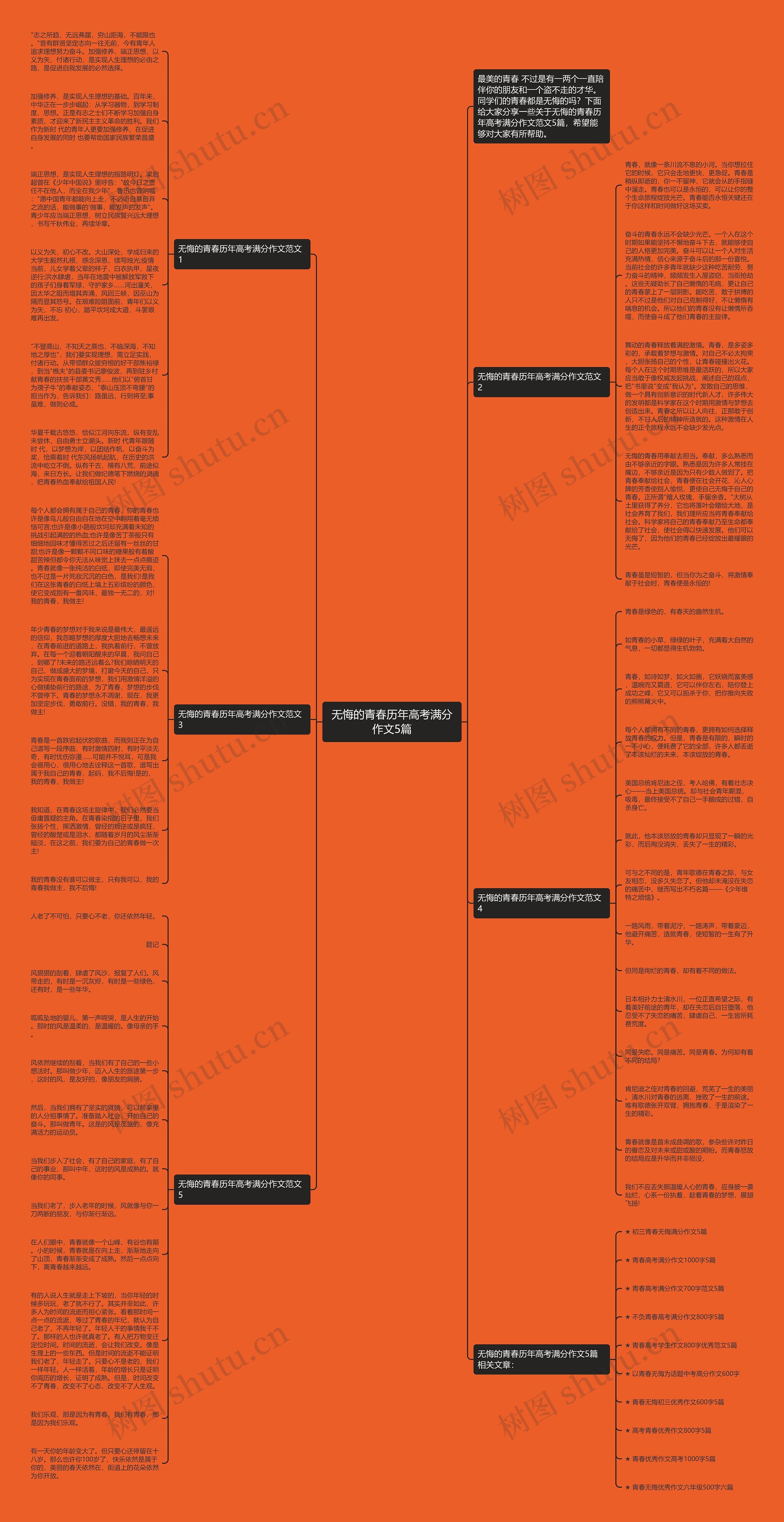 无悔的青春历年高考满分作文5篇思维导图